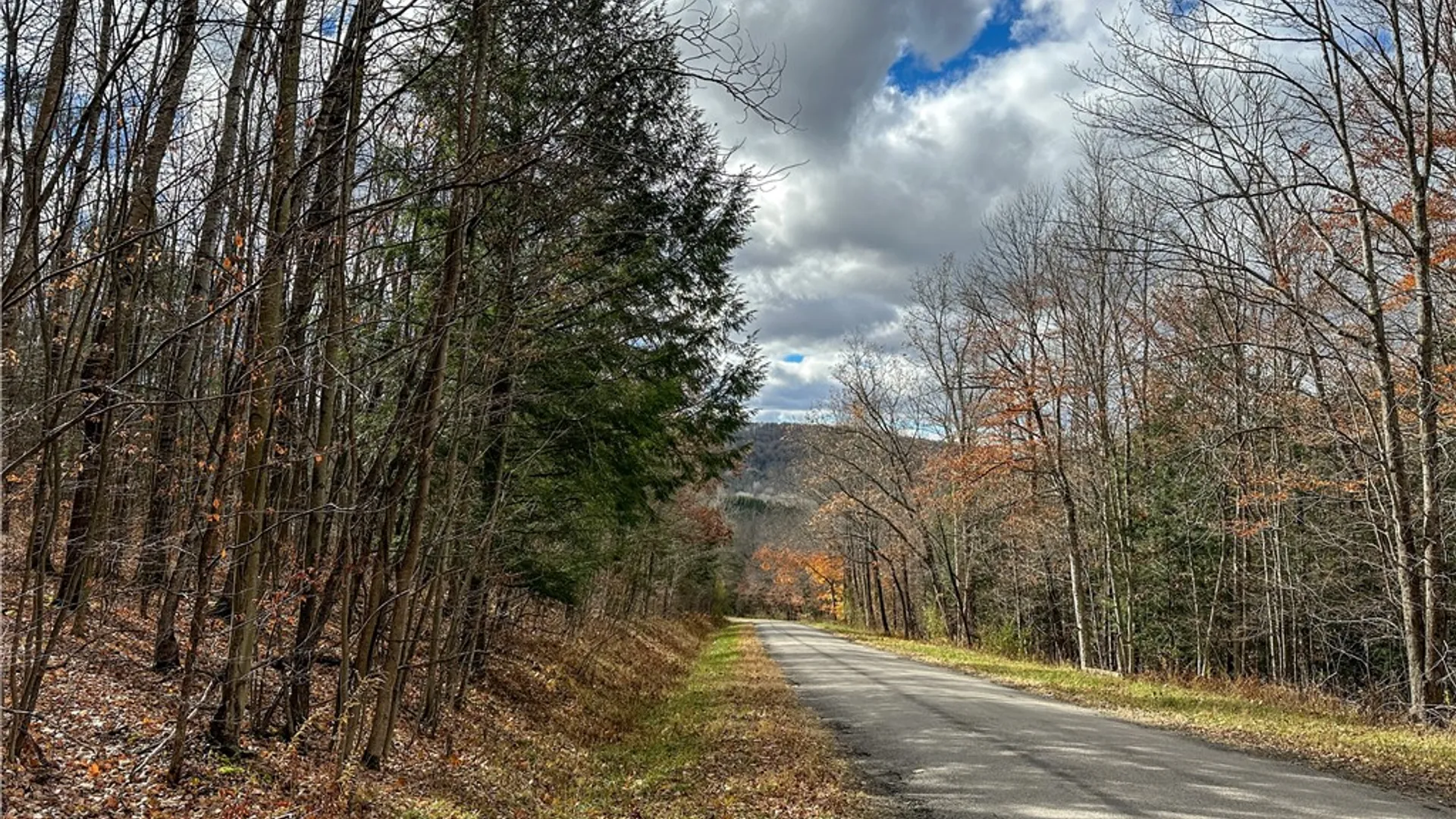 Property at Trapping Brook Road, Wellsville, NY 14895 11