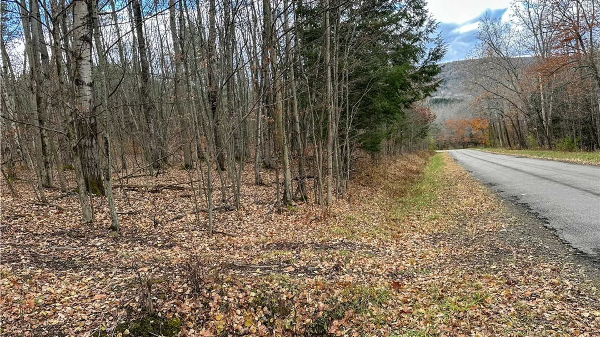Property at Trapping Brook Road, Wellsville, NY 14895 13