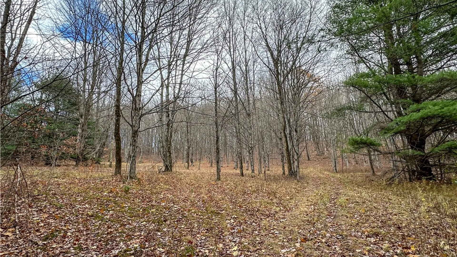 Property at Trapping Brook Road, Wellsville, NY 14895 16