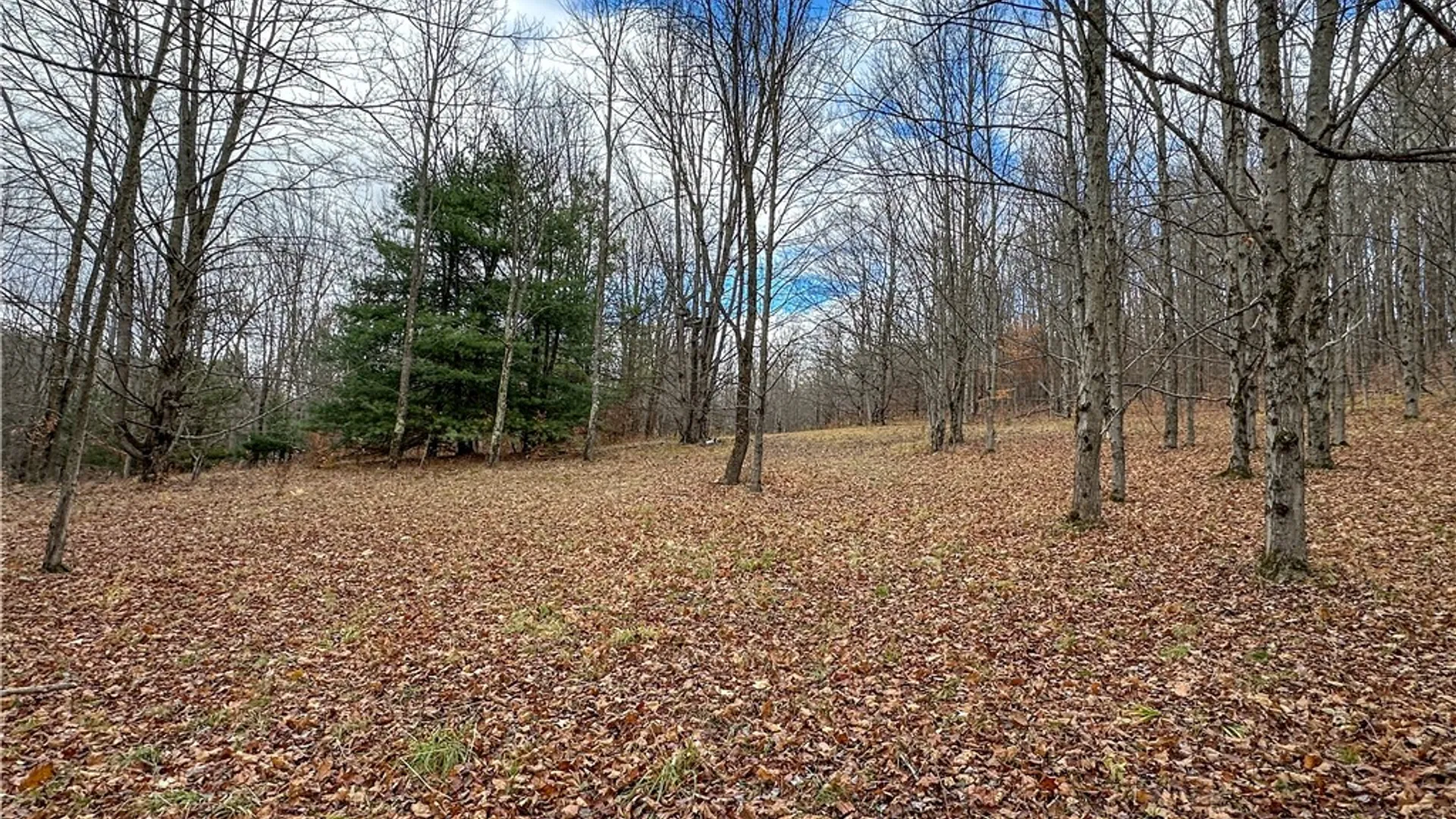 Property at Trapping Brook Road, Wellsville, NY 14895 17