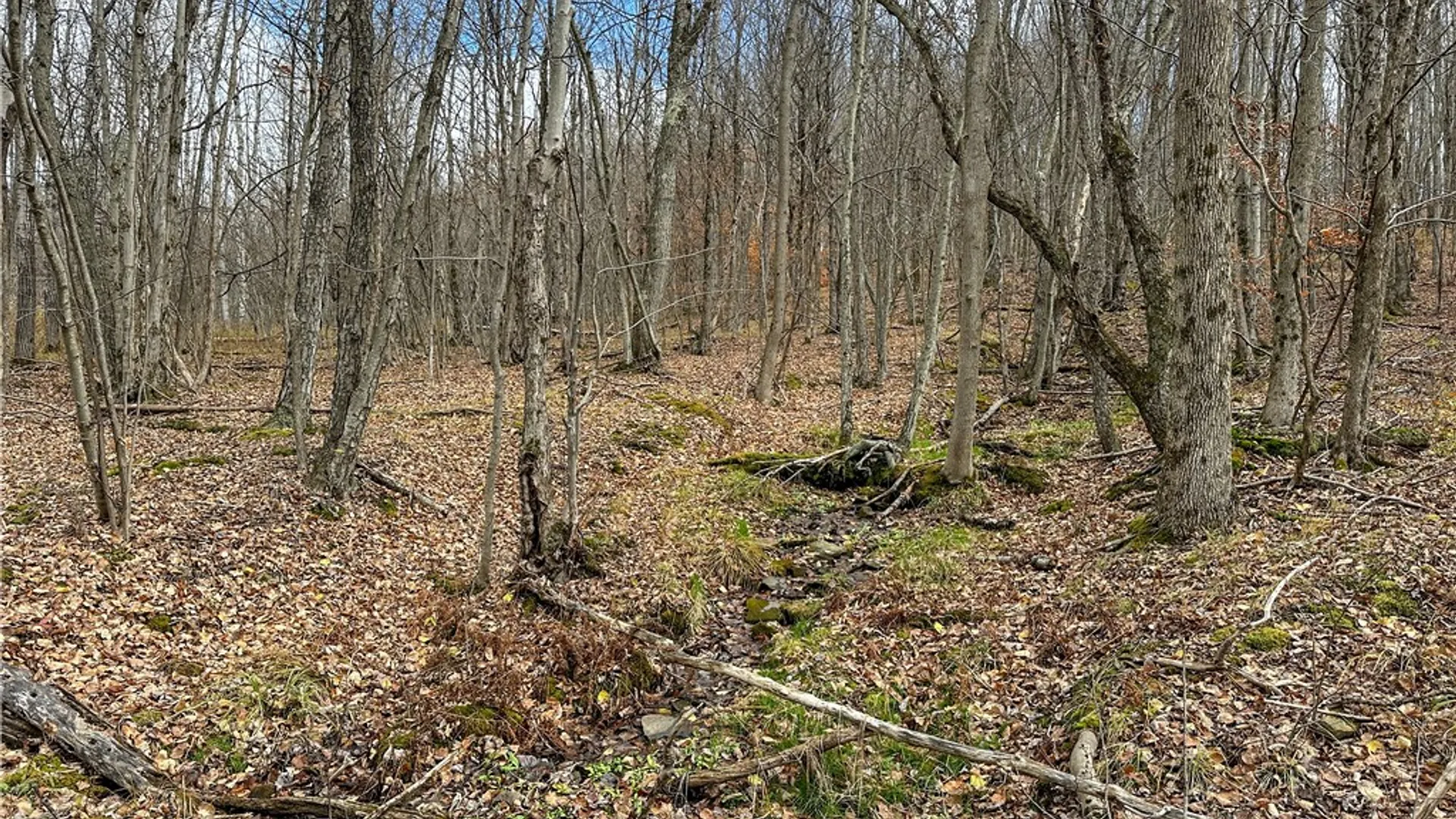 Property at Trapping Brook Road, Wellsville, NY 14895 19