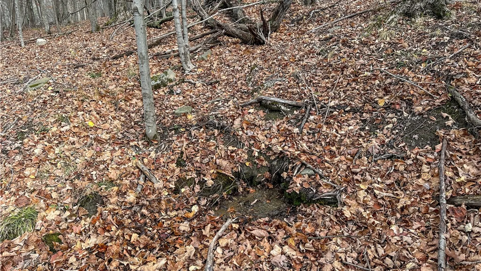 Property at Trapping Brook Road, Wellsville, NY 14895 20