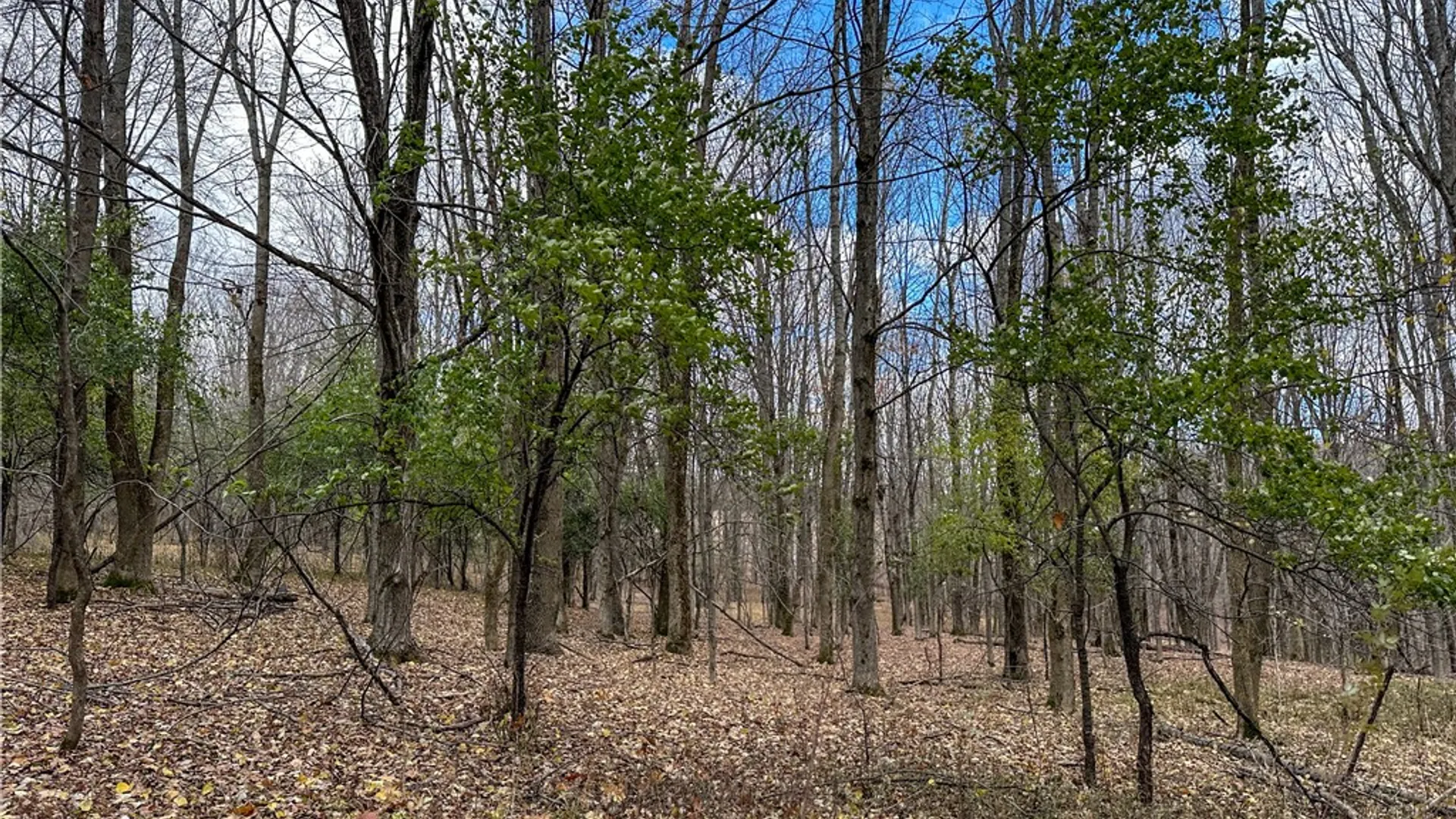 Property at Trapping Brook Road, Wellsville, NY 14895 23