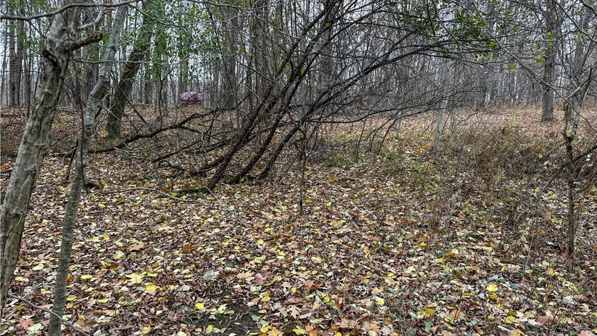 Property at Trapping Brook Road, Wellsville, NY 14895 24