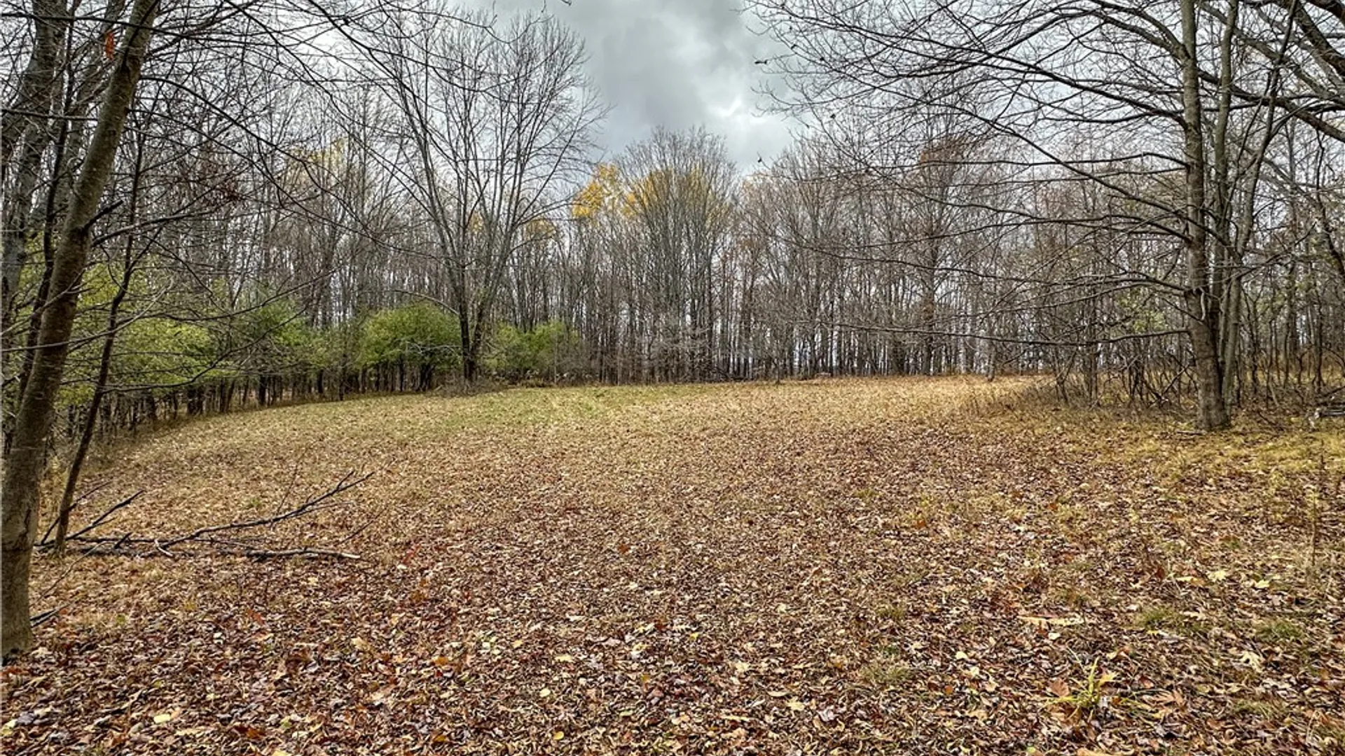 Property at Trapping Brook Road, Wellsville, NY 14895 25
