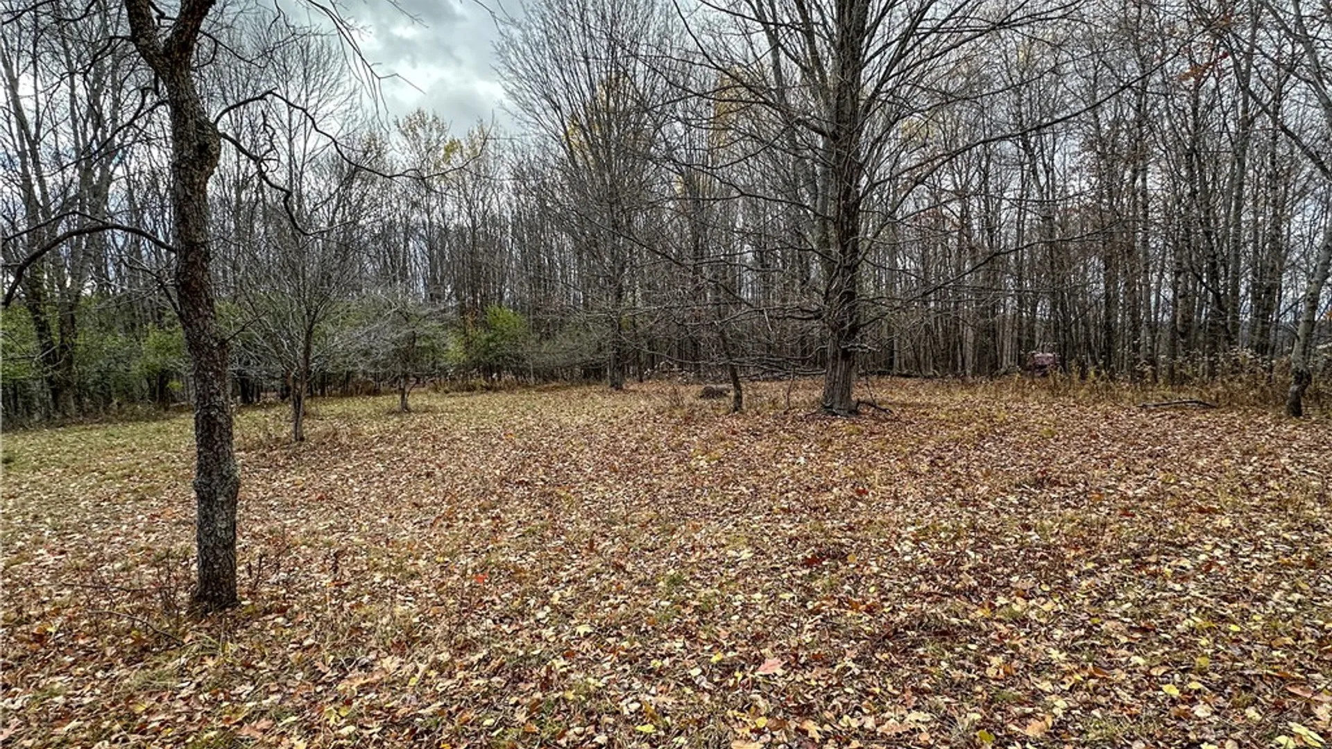 Property at Trapping Brook Road, Wellsville, NY 14895 26