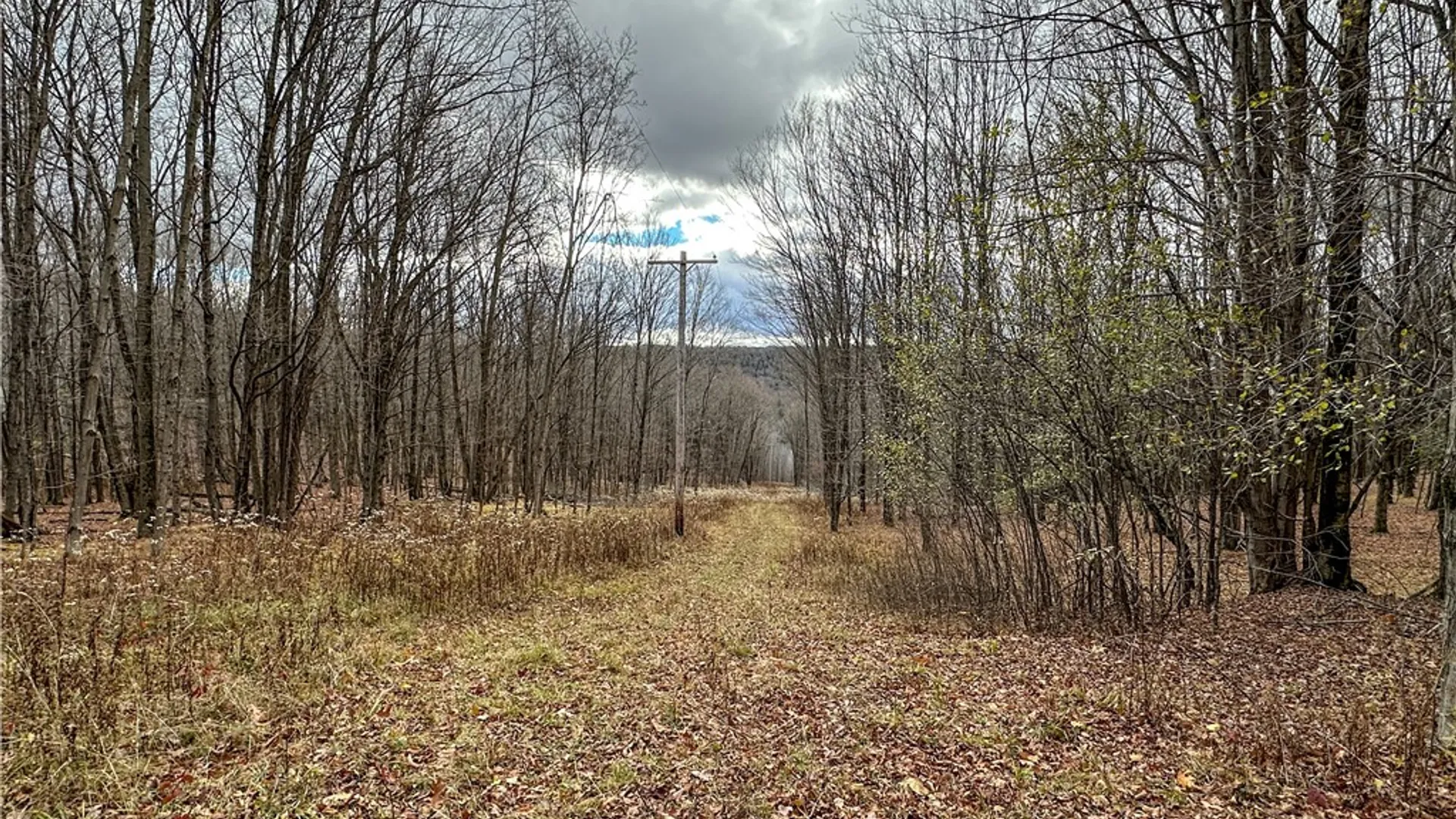 Property at Trapping Brook Road, Wellsville, NY 14895 27