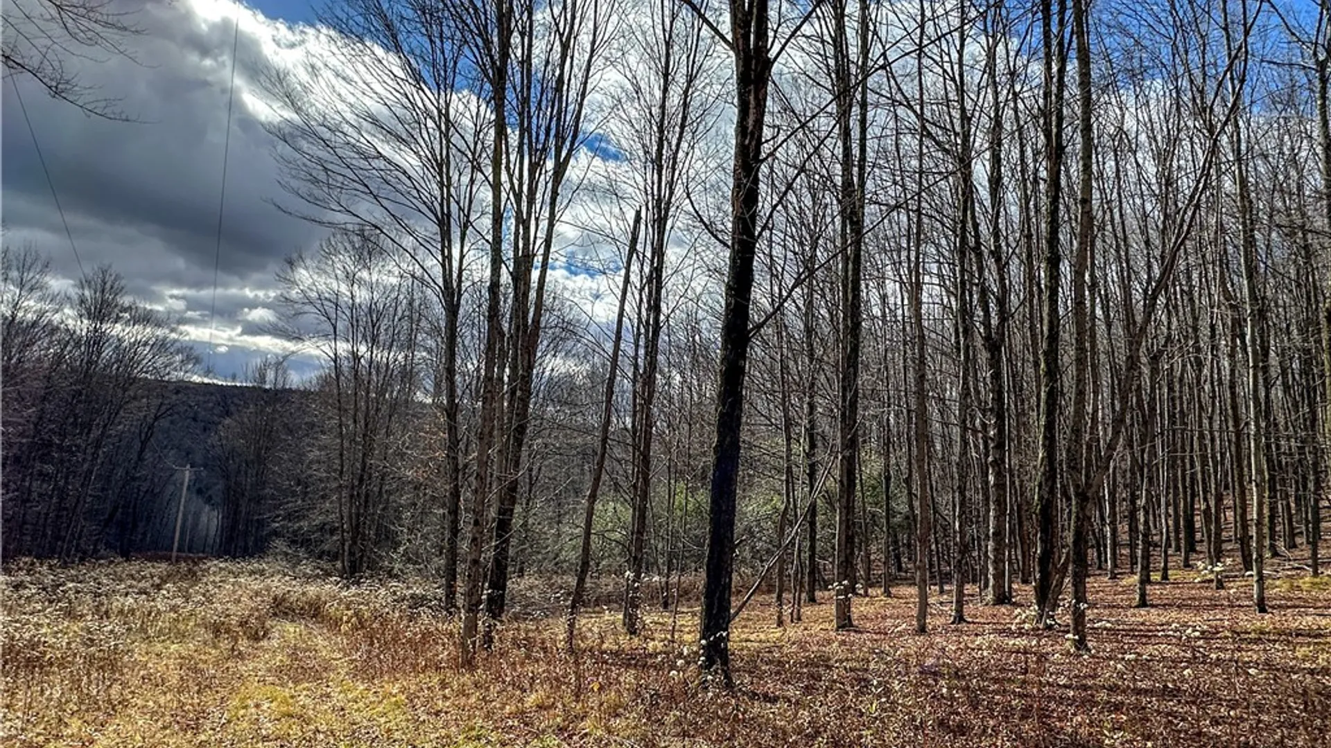 Property at Trapping Brook Road, Wellsville, NY 14895 29