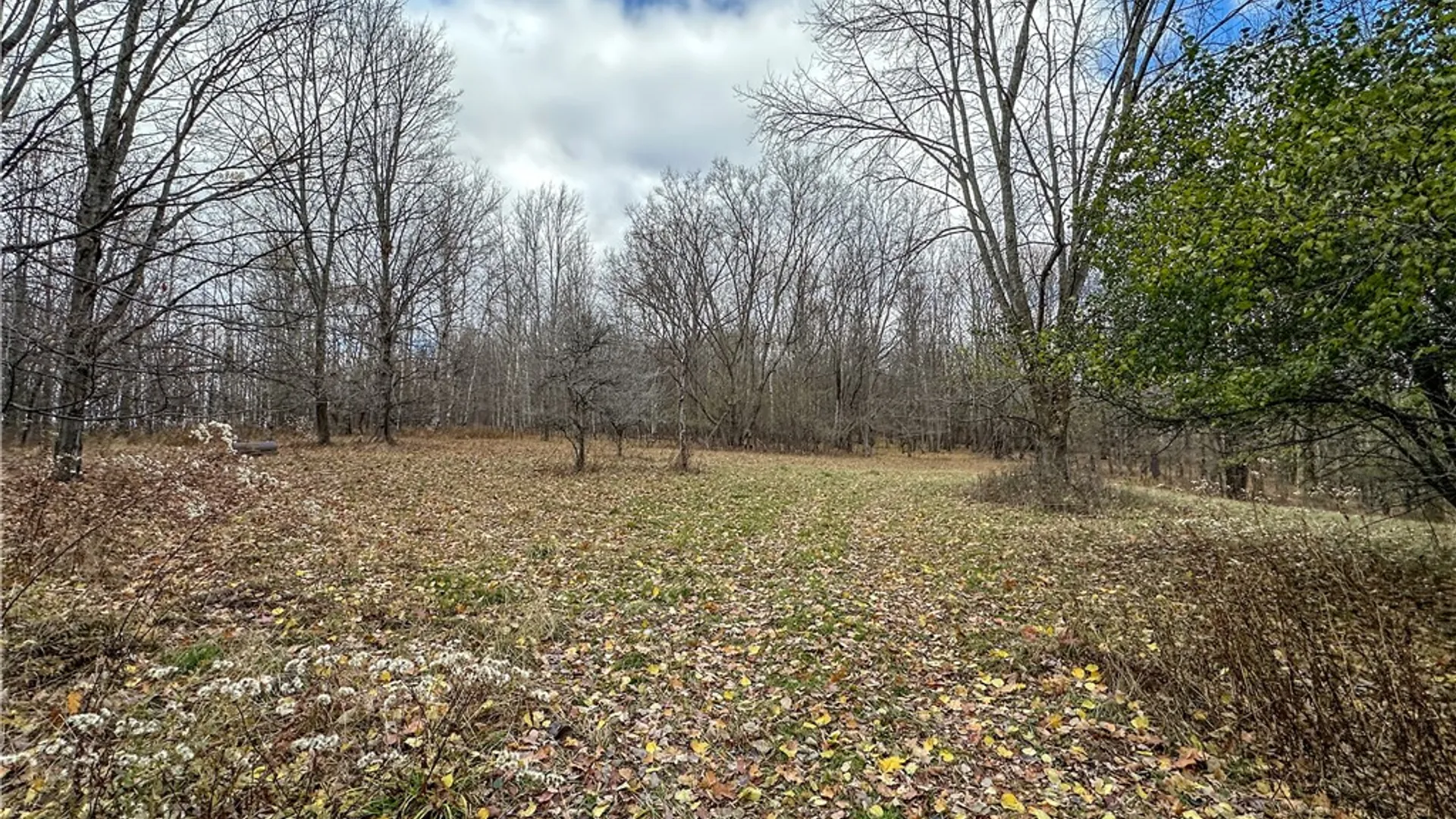 Property at Trapping Brook Road, Wellsville, NY 14895 3