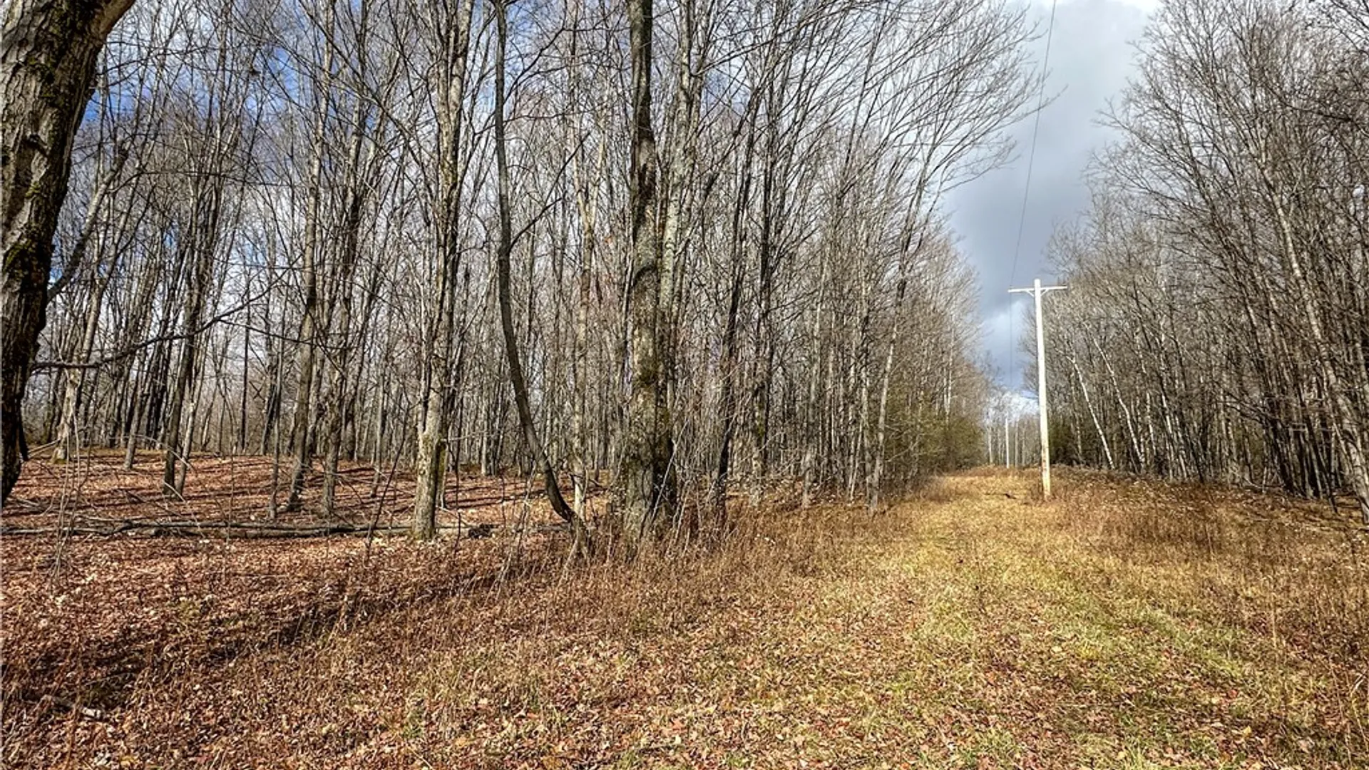 Property at Trapping Brook Road, Wellsville, NY 14895 30