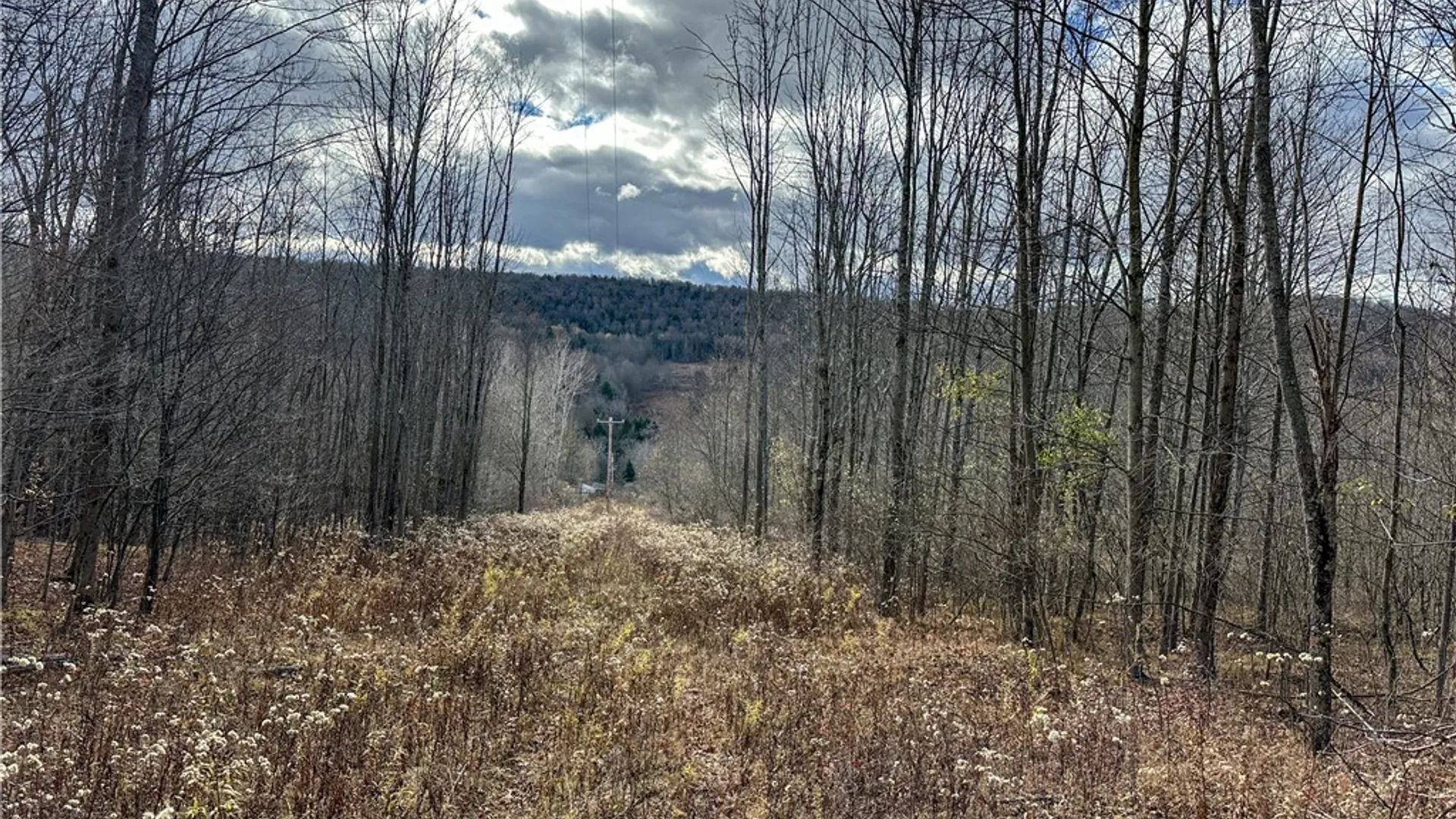 Property at Trapping Brook Road, Wellsville, NY 14895 31