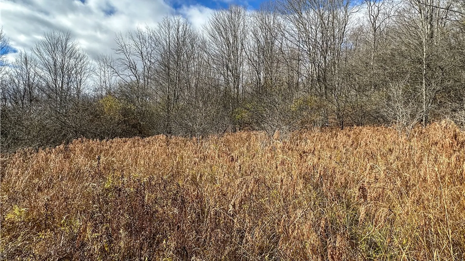 Property at Trapping Brook Road, Wellsville, NY 14895 32