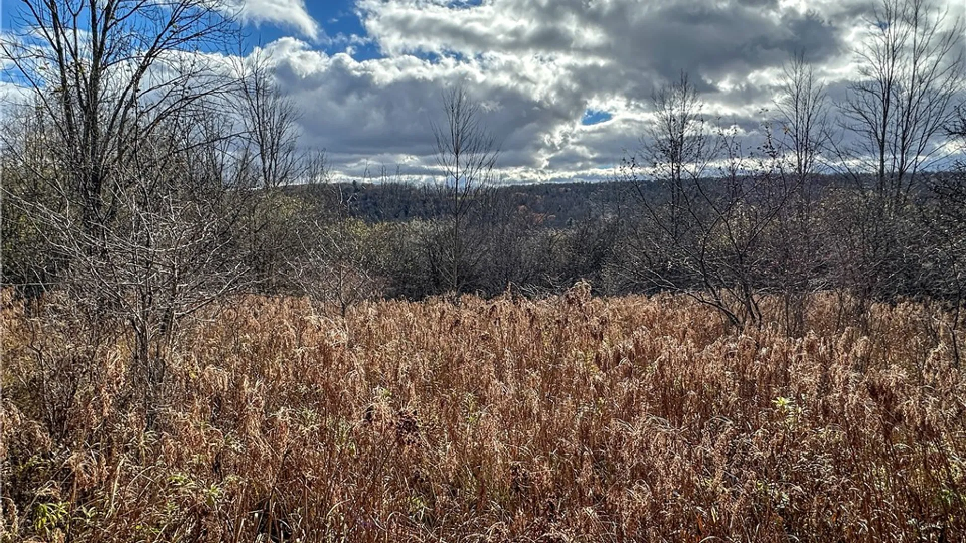 Property at Trapping Brook Road, Wellsville, NY 14895 33