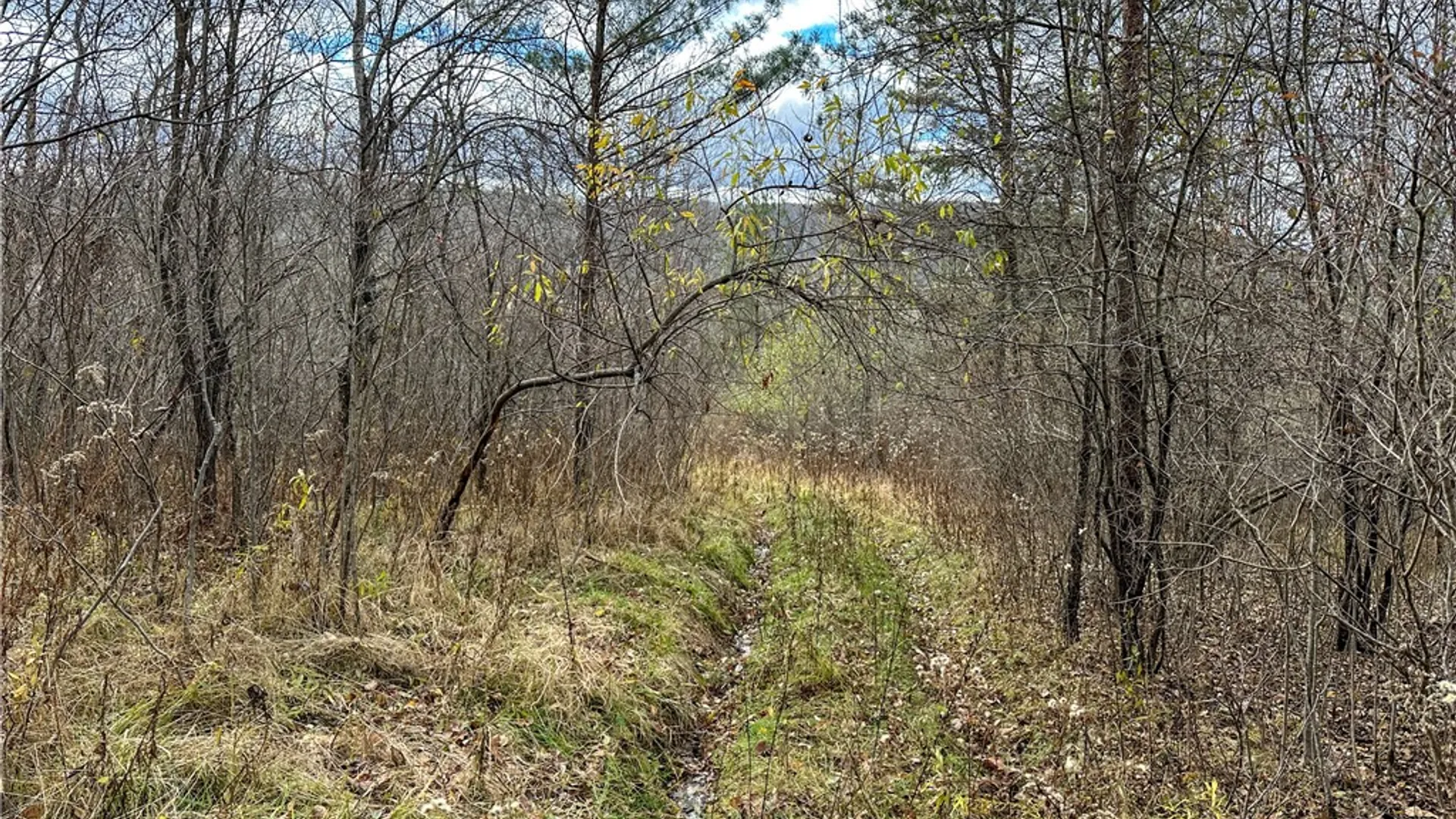 Property at Trapping Brook Road, Wellsville, NY 14895 36