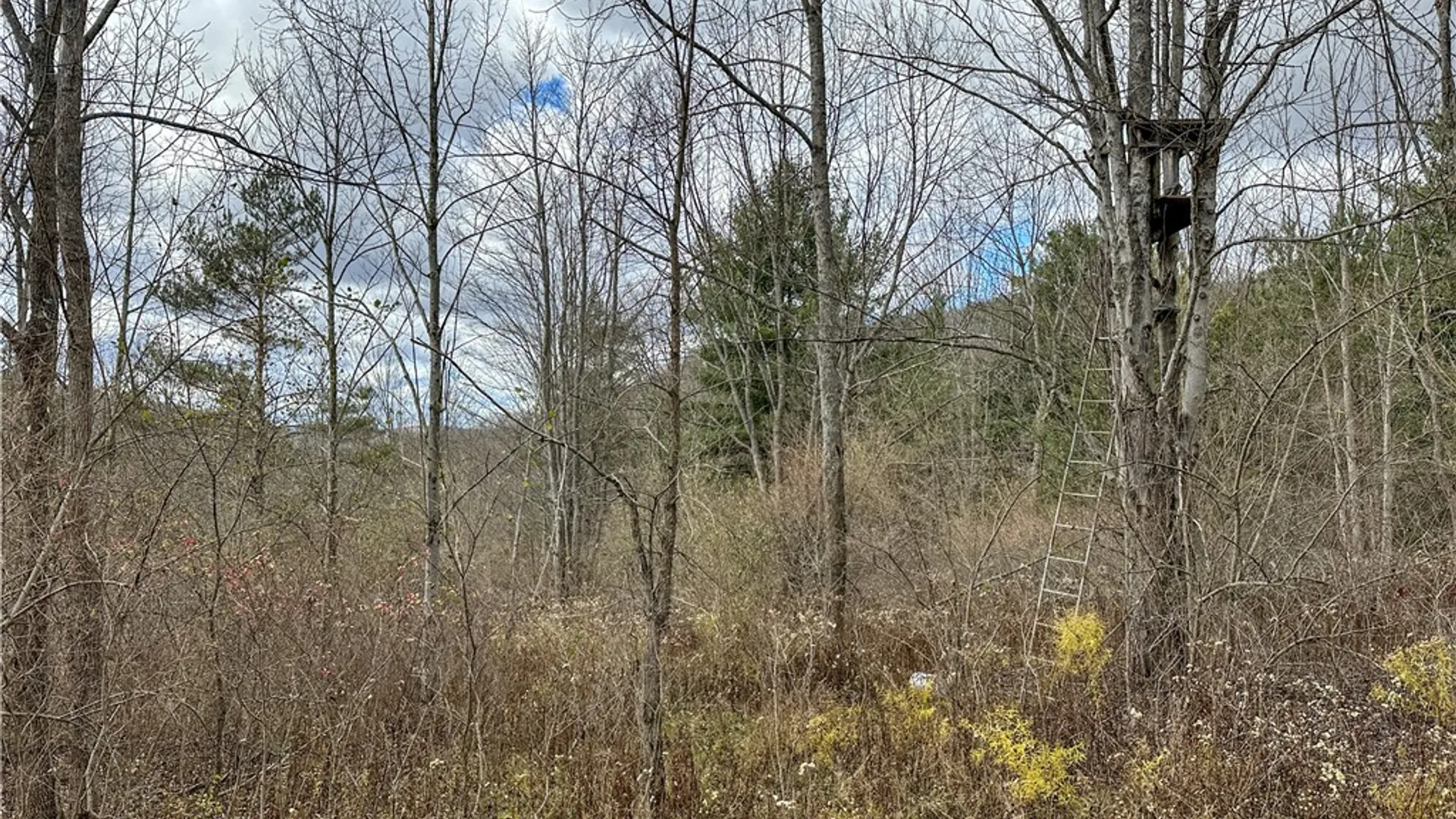 Property at Trapping Brook Road, Wellsville, NY 14895 37
