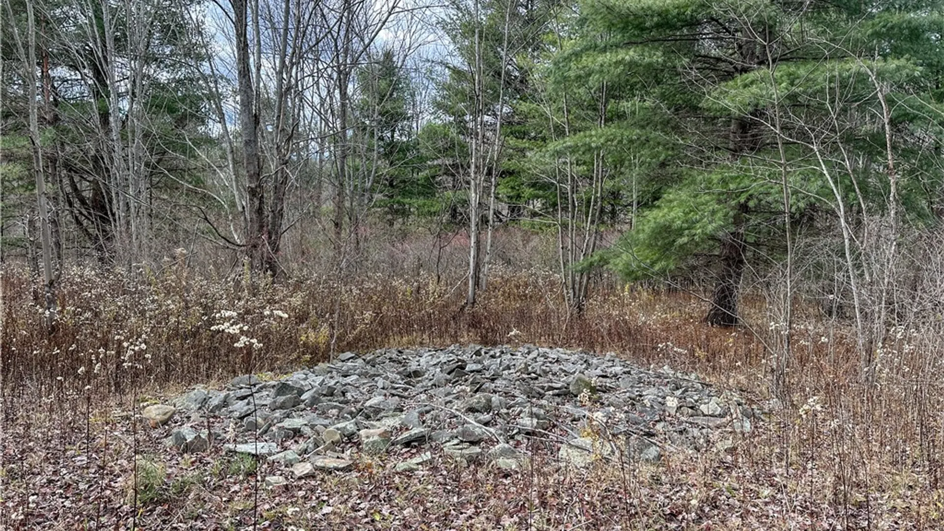 Property at Trapping Brook Road, Wellsville, NY 14895 38