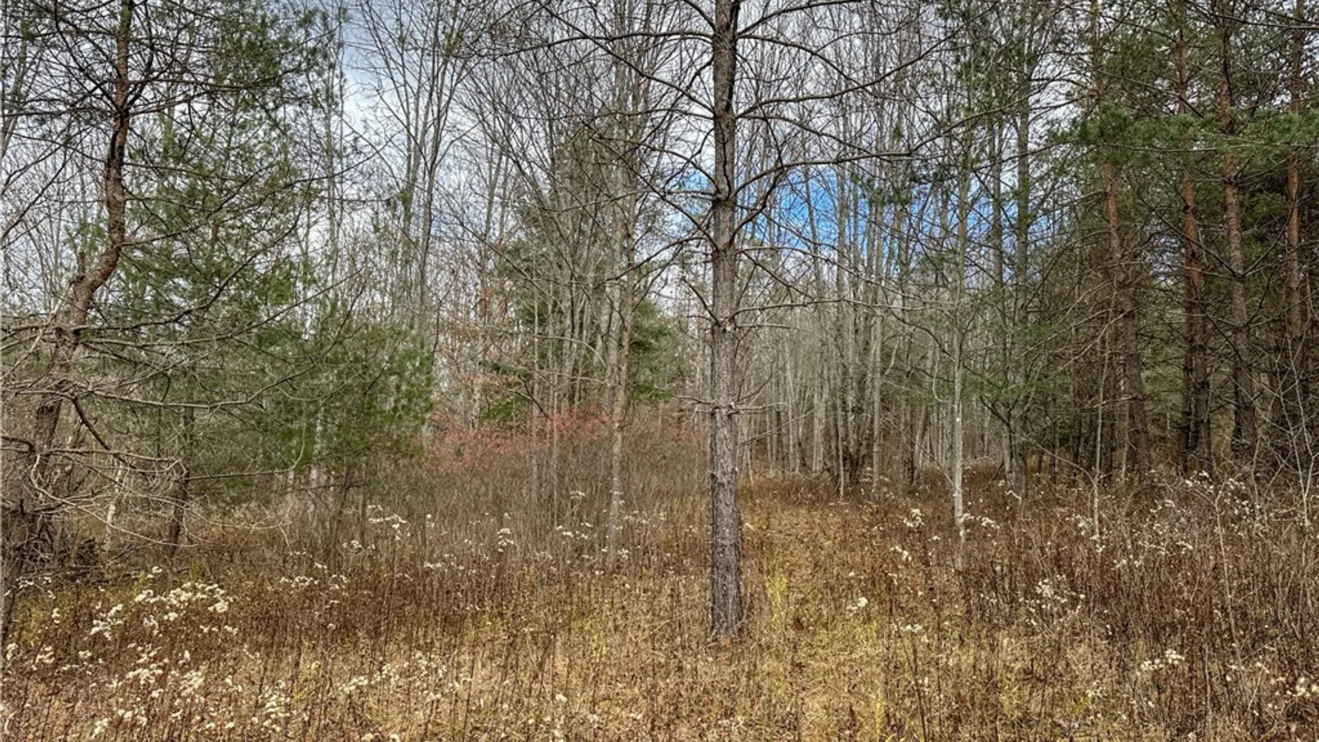 Property at Trapping Brook Road, Wellsville, NY 14895 39