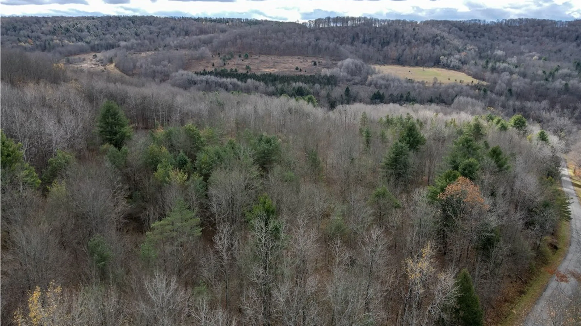 Property at Trapping Brook Road, Wellsville, NY 14895 4