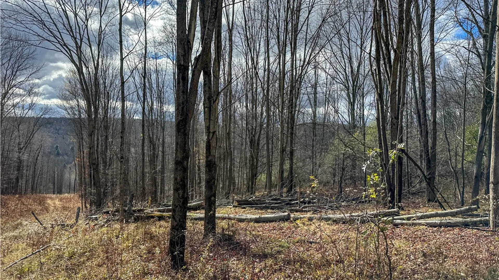 Property at Trapping Brook Road, Wellsville, NY 14895 42