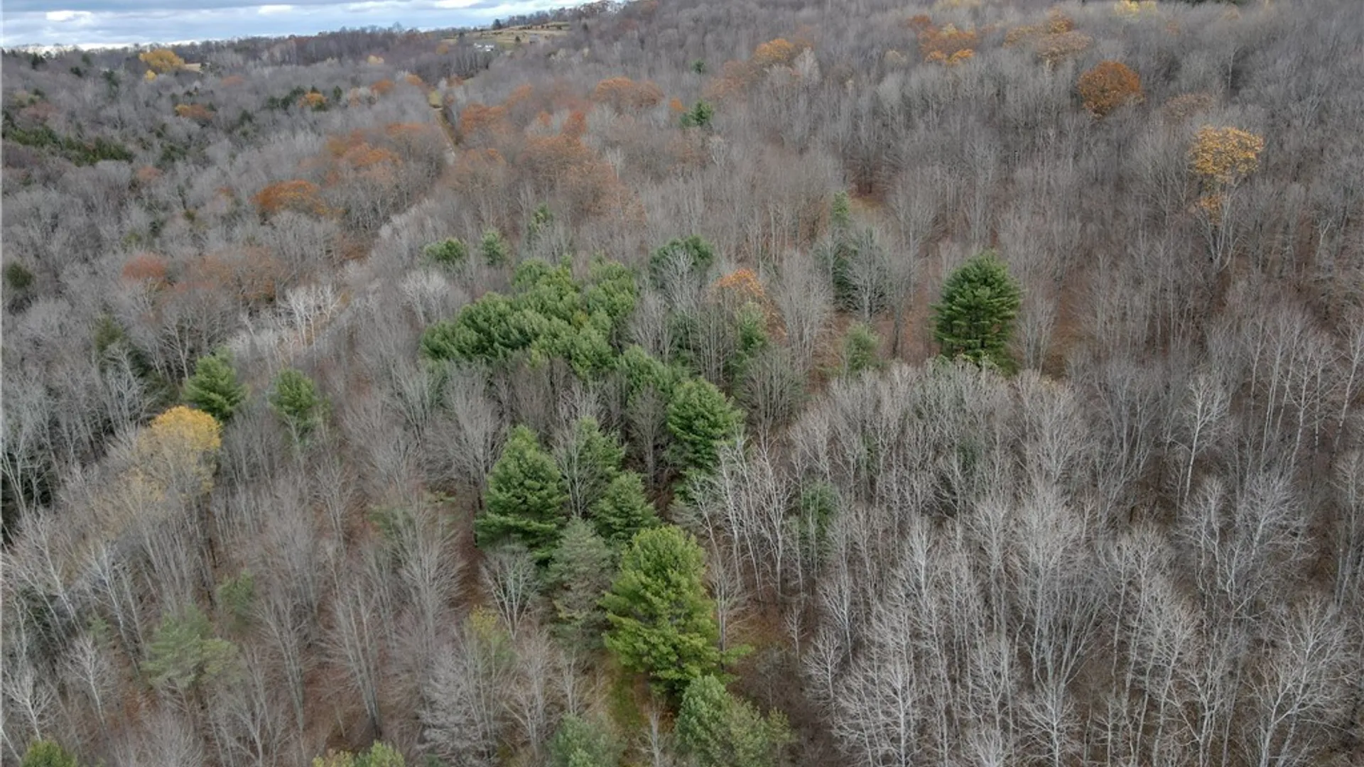 Property at Trapping Brook Road, Wellsville, NY 14895 49