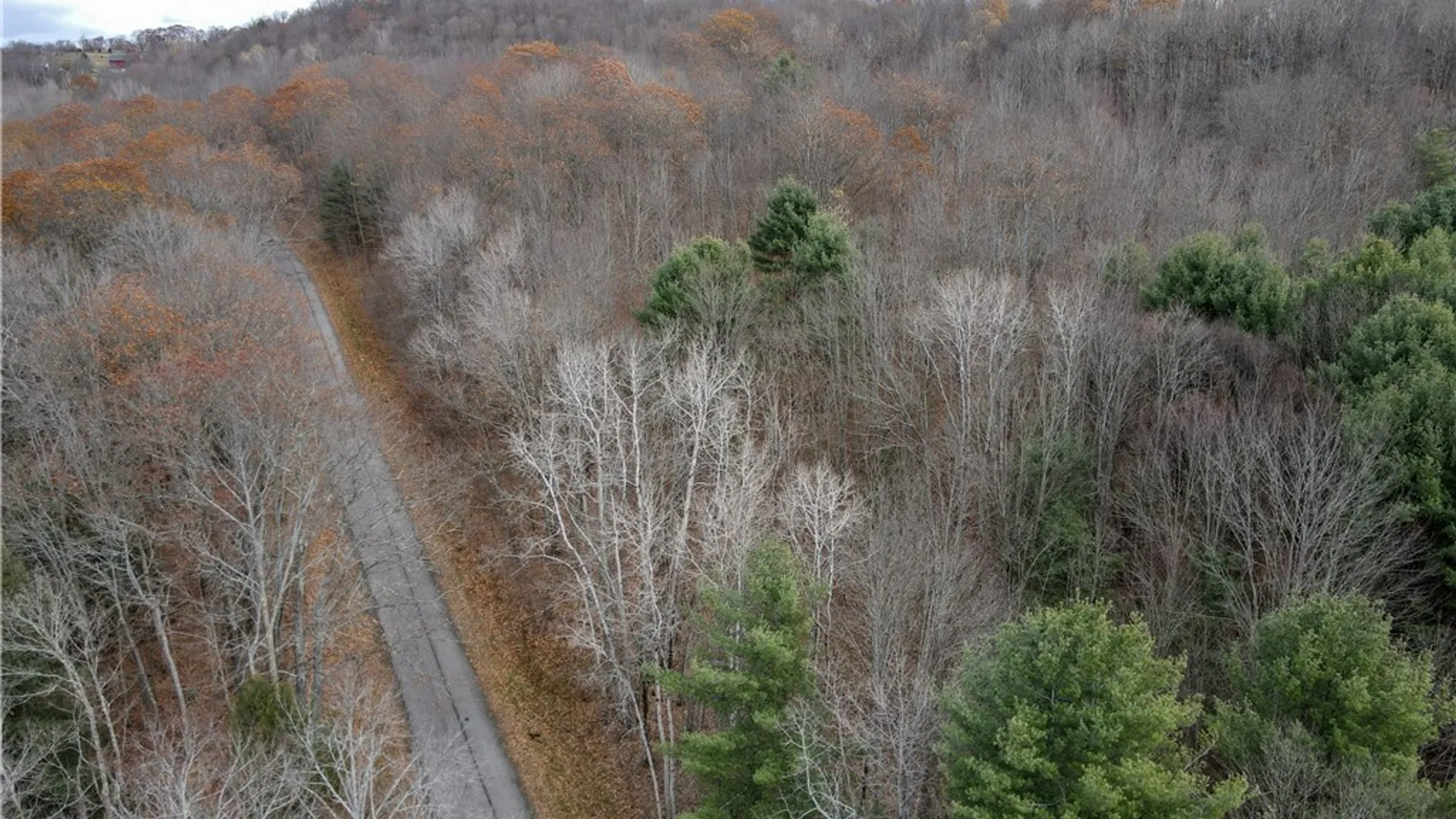 Property at Trapping Brook Road, Wellsville, NY 14895 5