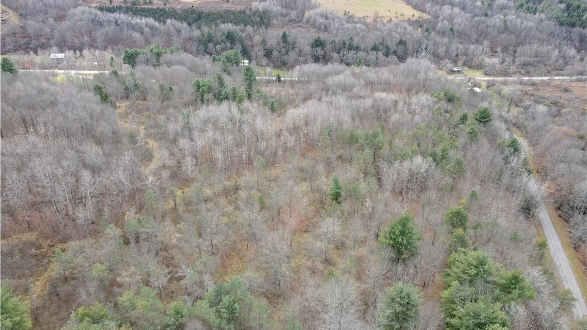 Property at Trapping Brook Road, Wellsville, NY 14895 50