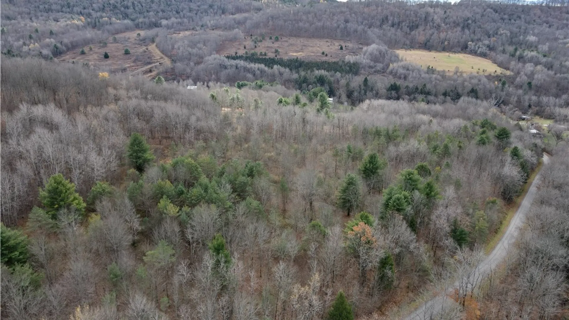 Property at Trapping Brook Road, Wellsville, NY 14895 6