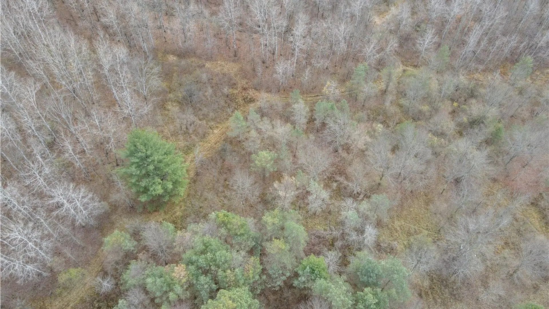 Property at Trapping Brook Road, Wellsville, NY 14895 7