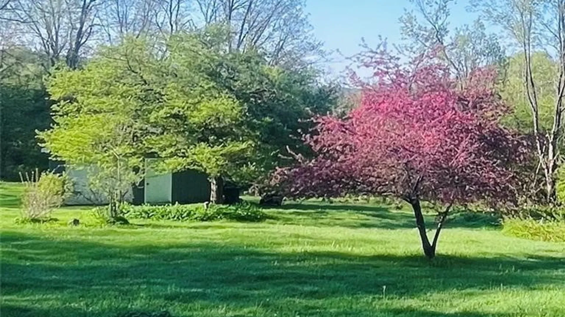 Property at 6313 Homer Baltimore Road, Preble, NY 13077 30