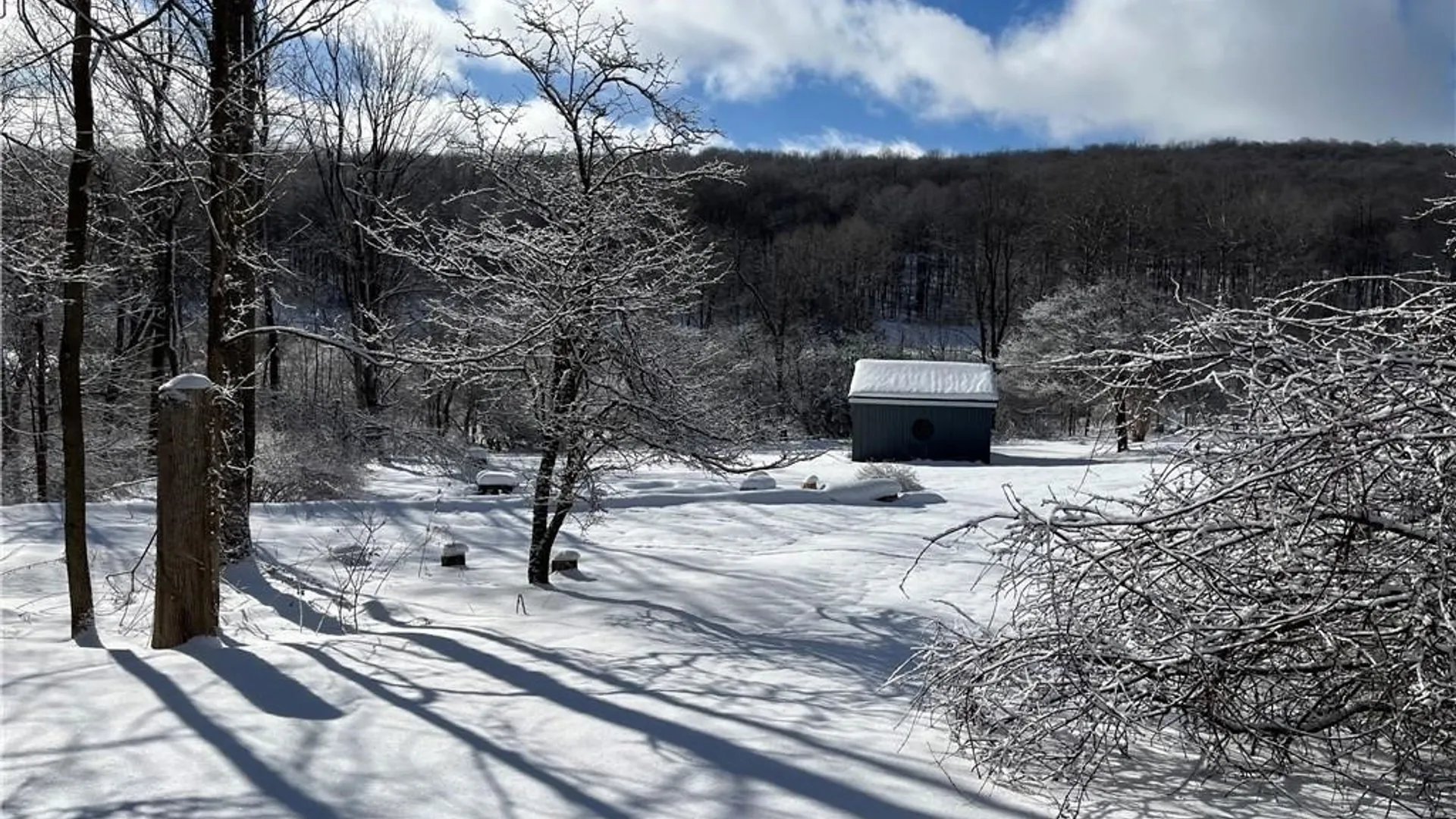 Property at 6313 Homer Baltimore Road, Preble, NY 13077 32