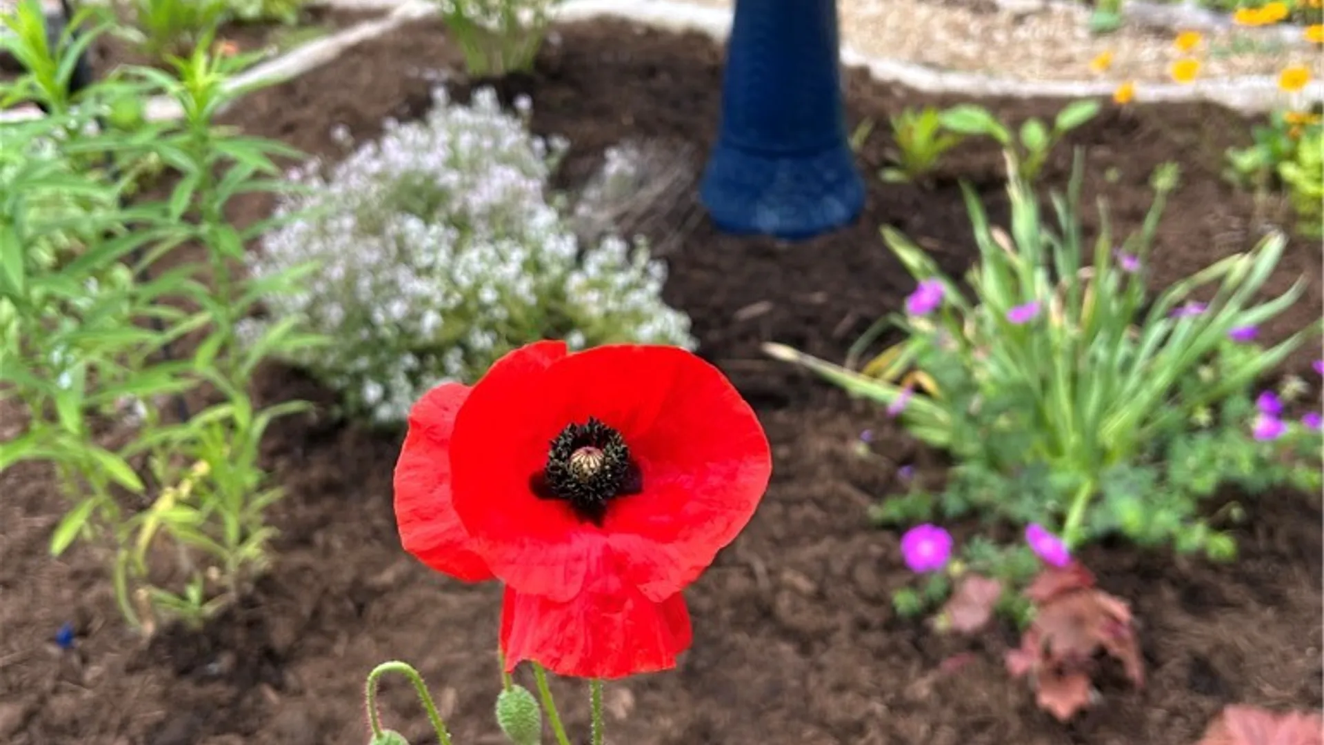 Property at 4251 State Highway 23, Norwich, NY 13815 38