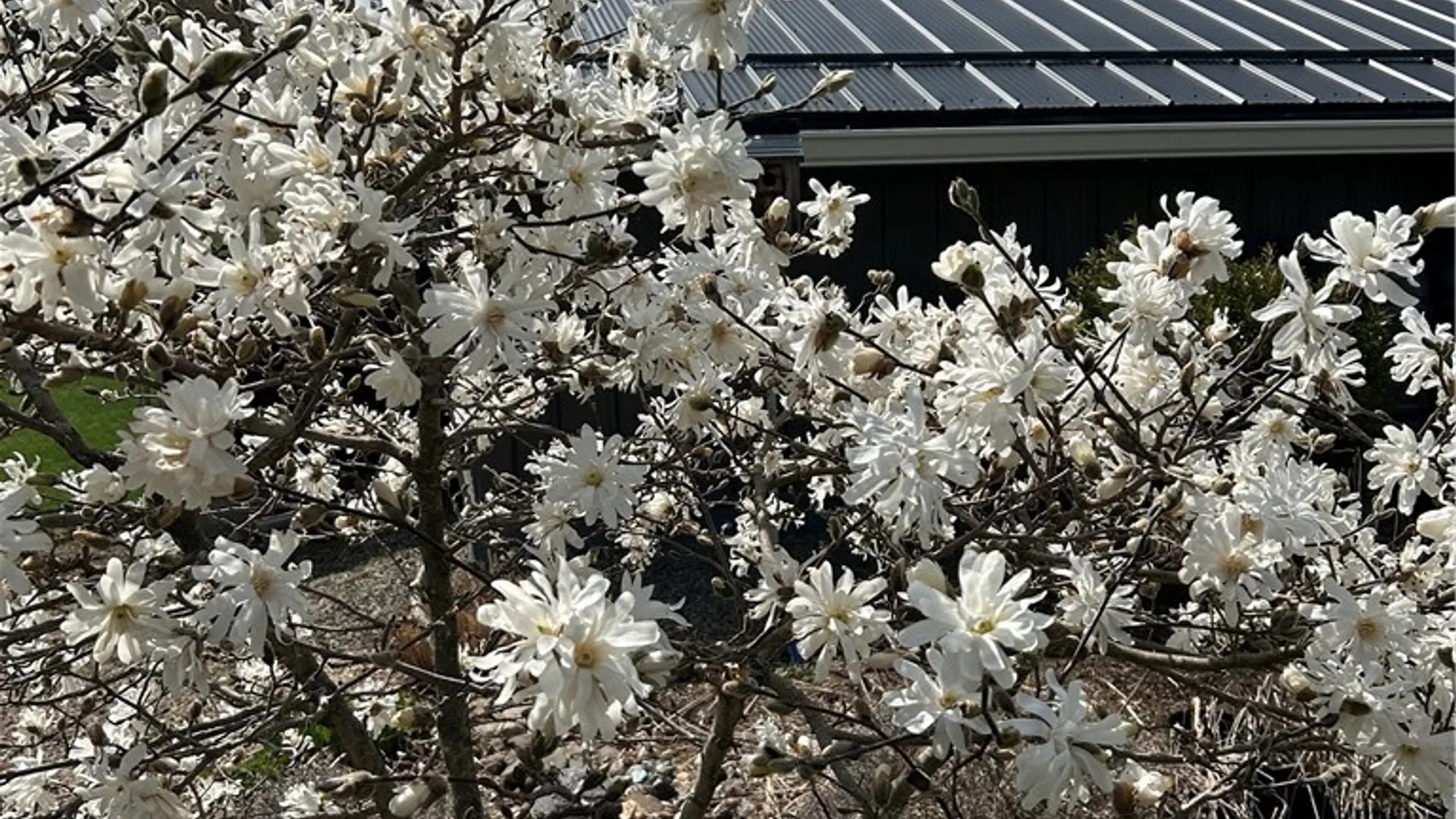 Property at 4251 State Highway 23, Norwich, NY 13815 39