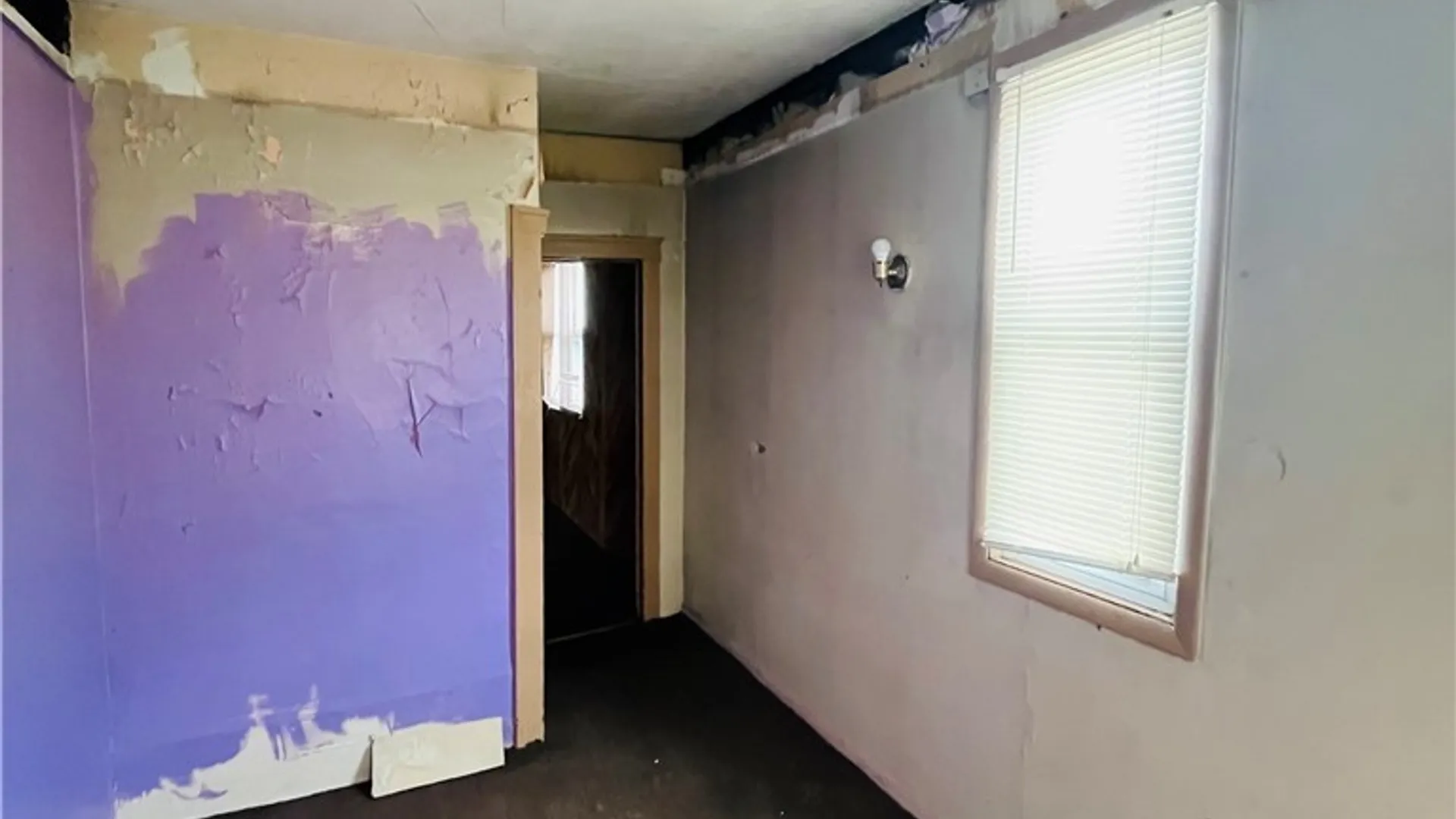 Property at 25 Central Avenue, Buffalo, NY 14212 24