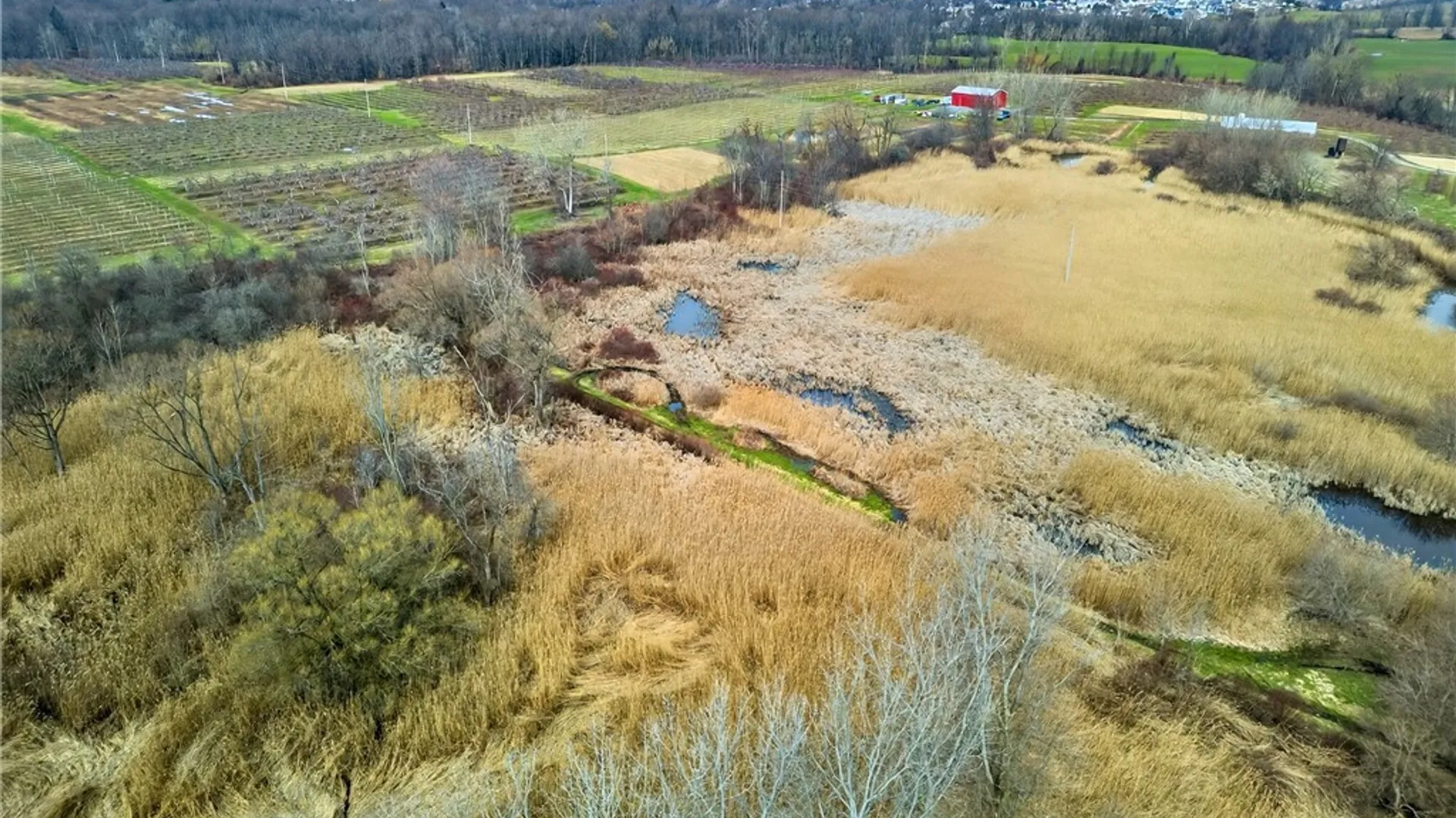 Property at 5819 Ontario Center Road, Ontario, NY 14519 23