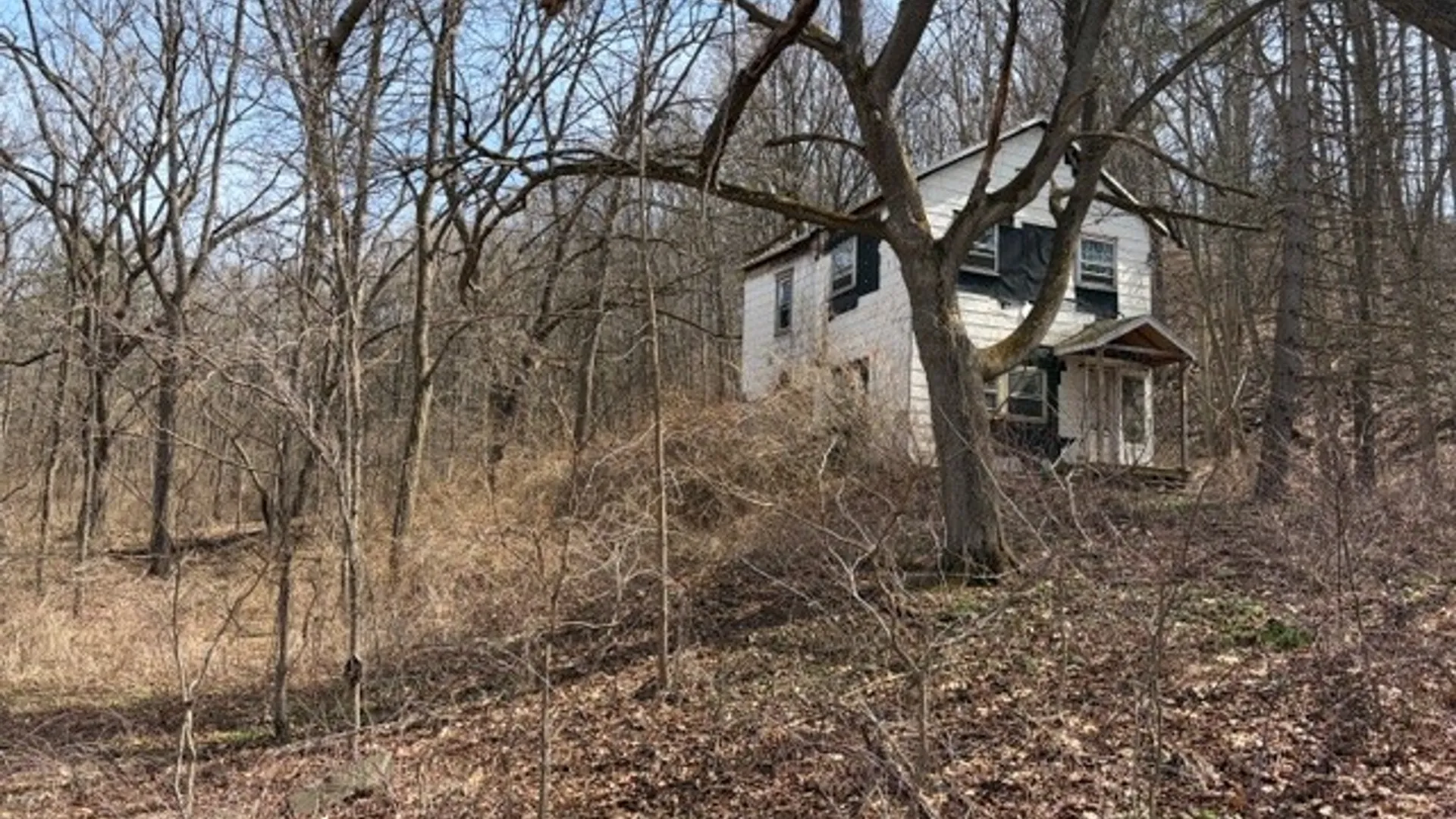 Property at 5440 Wilkinson Road, Hector, NY 14841 4