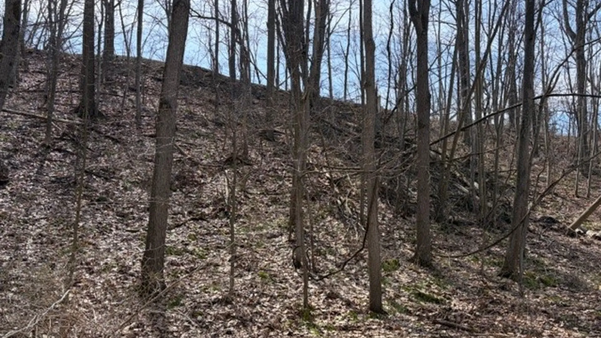 Property at 5440 Wilkinson Road, Hector, NY 14841 6