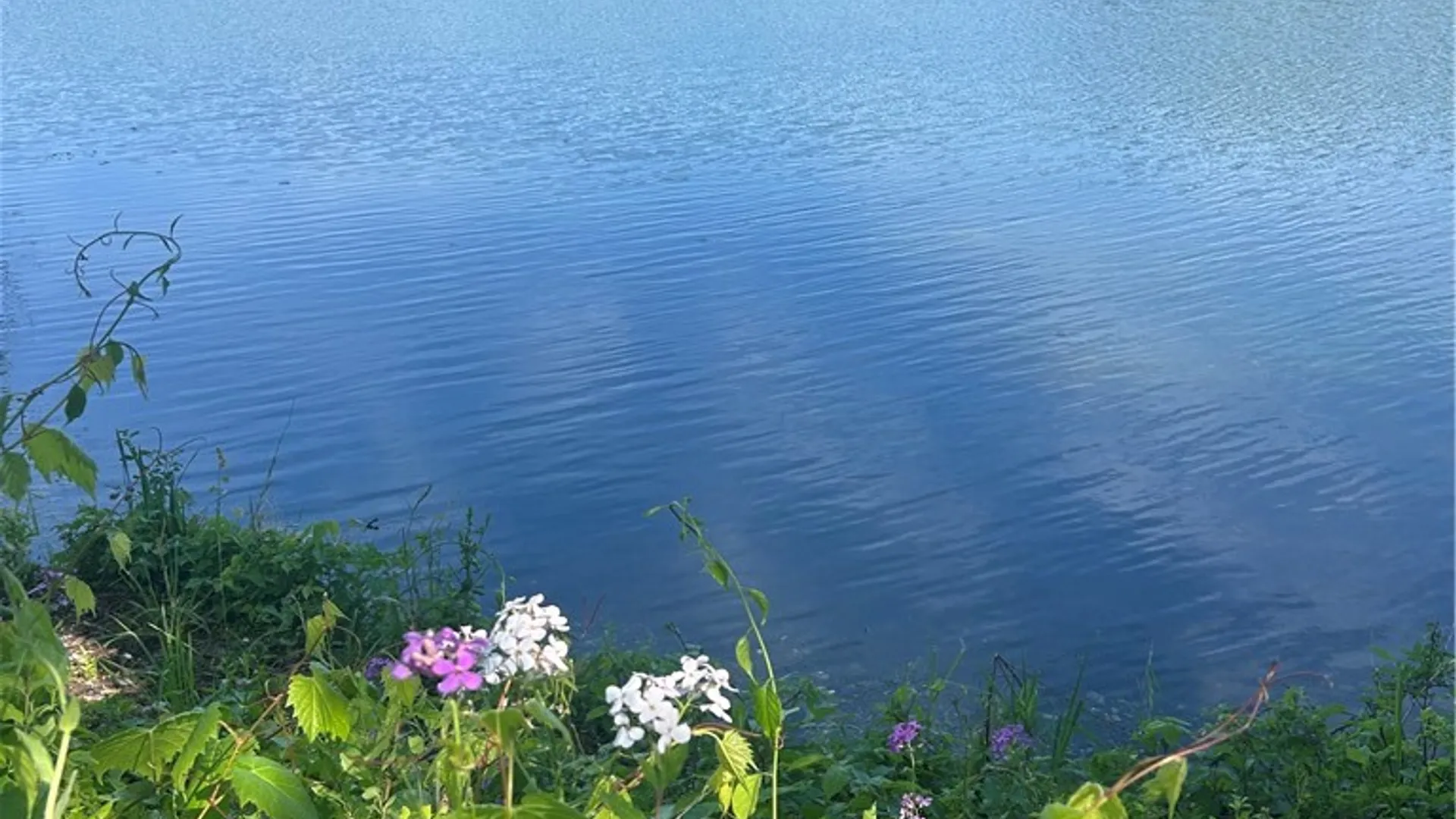 Property at 203 Charles Herrmann Way, Milo, NY 14527 31