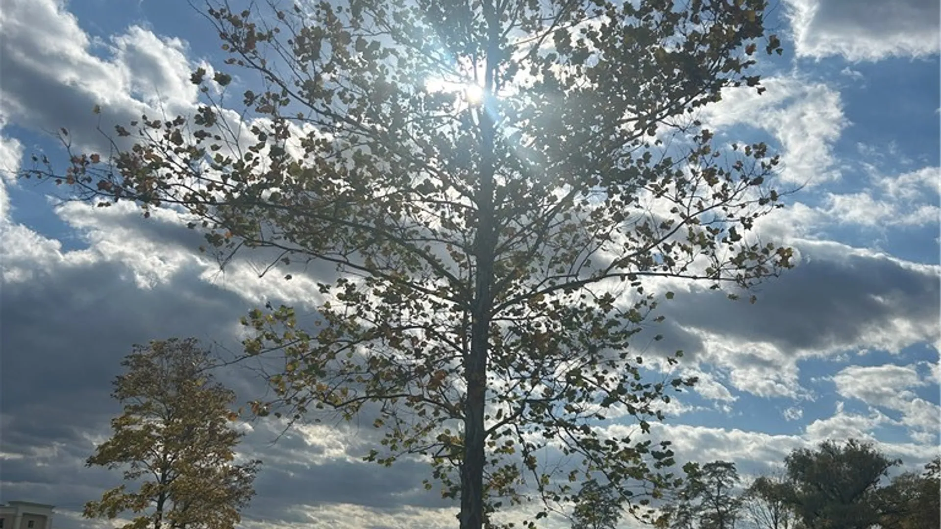 Property at 203 Charles Herrmann Way, Milo, NY 14527 38