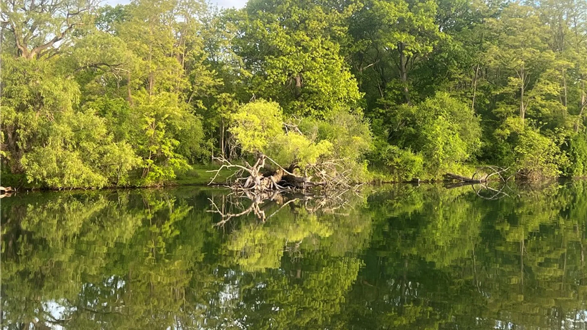 Property at 203 Charles Herrmann Way, Milo, NY 14527 46