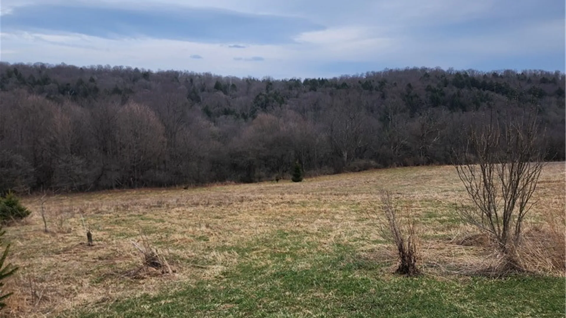 Property at 5400 Brake Hill Road, Homer, NY 13077 32