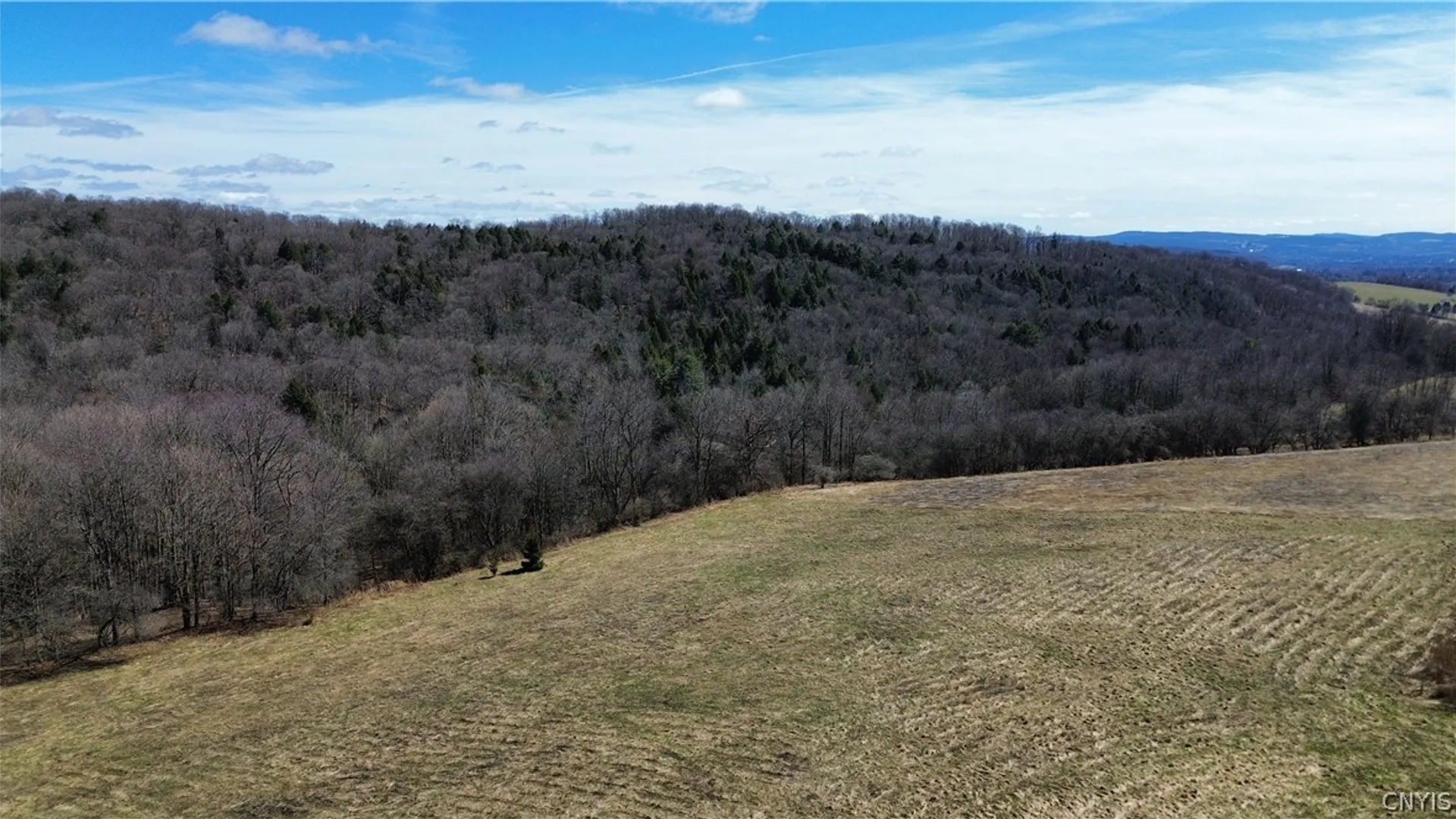 Property at 5400 Brake Hill Road, Homer, NY 13077 45