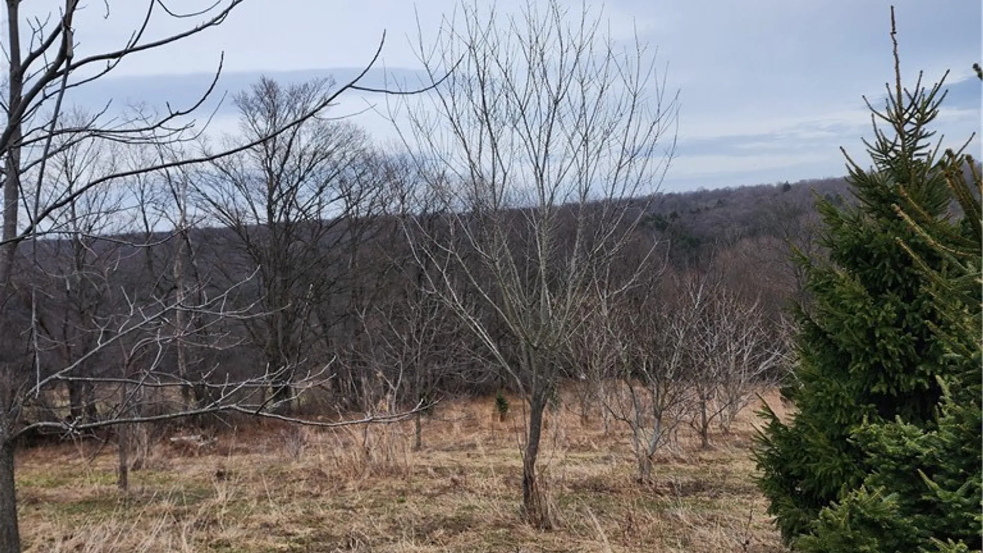 Property at 5400 Brake Hill Road, Homer, NY 13077 46