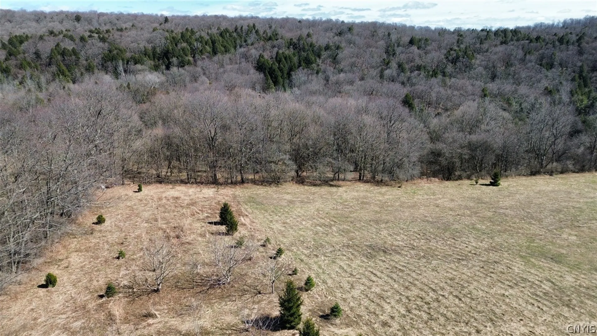 Property at 5400 Brake Hill Road, Homer, NY 13077 47