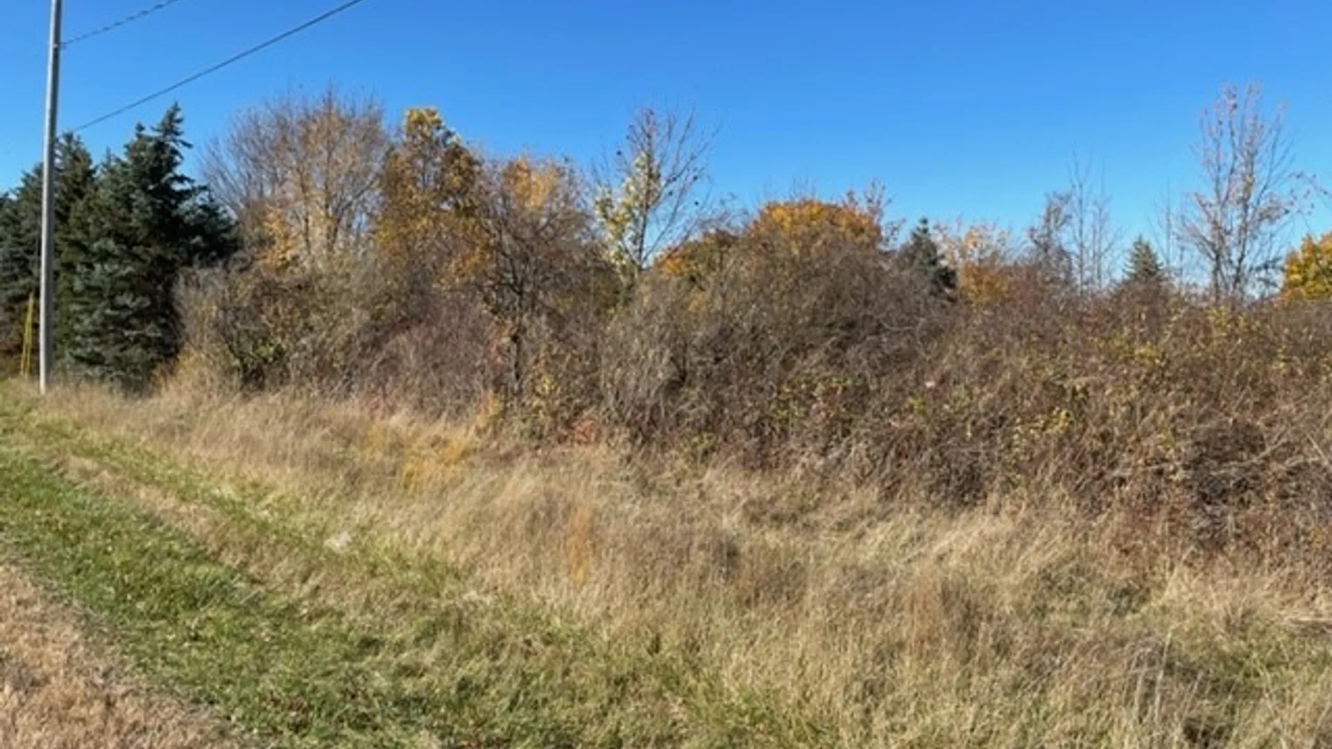 Property at 1537-1557 Braley Road, Porter, NY 14174 3