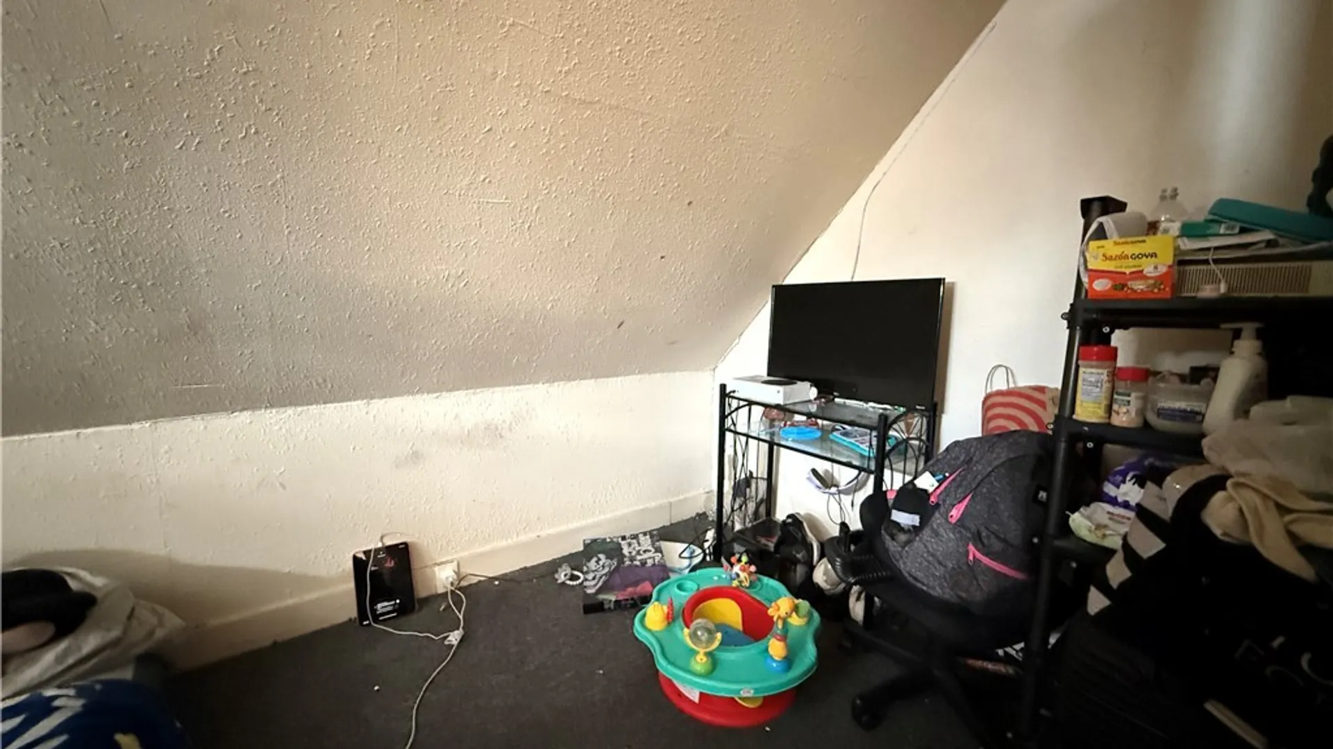 Property at 27 Lang Avenue, Buffalo, NY 14215 8