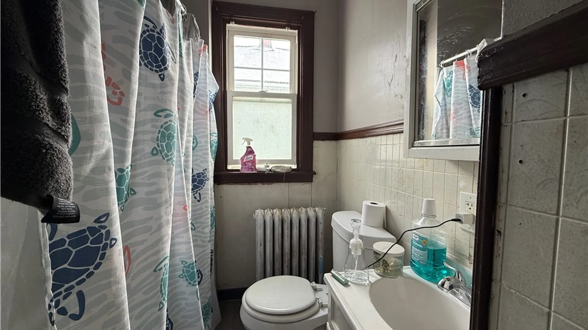 Property at 161 Farmer Street, Buffalo, NY 14207 12