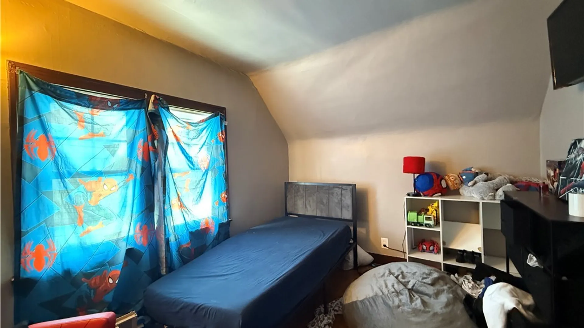 Property at 161 Farmer Street, Buffalo, NY 14207 13