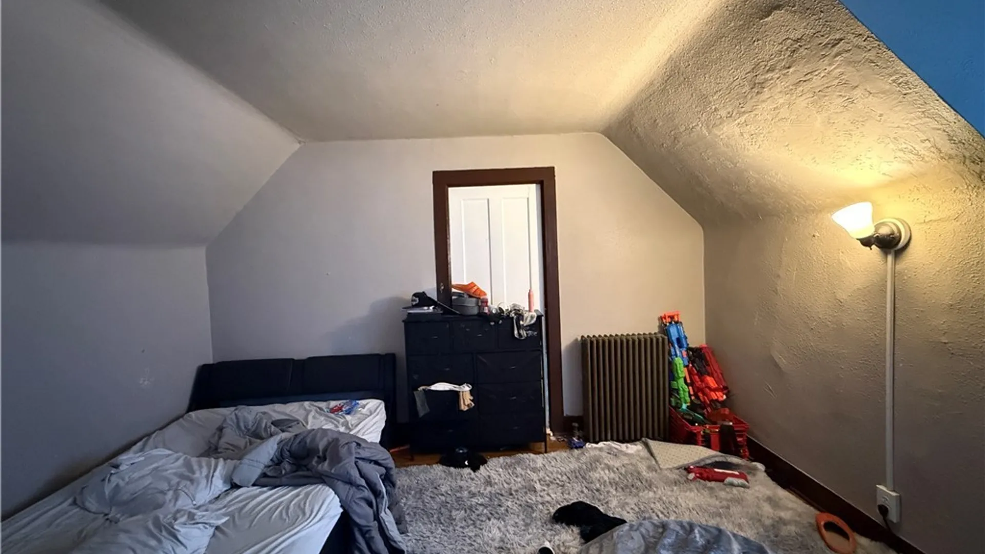 Property at 161 Farmer Street, Buffalo, NY 14207 14