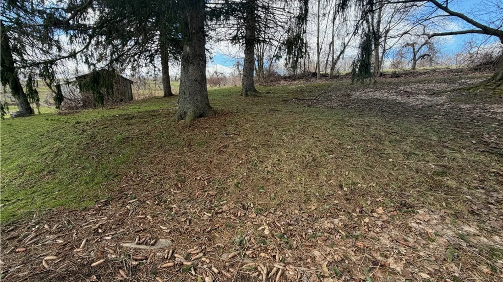 Property at 4469 Fish Farm Road, Sodus, NY 14551 19