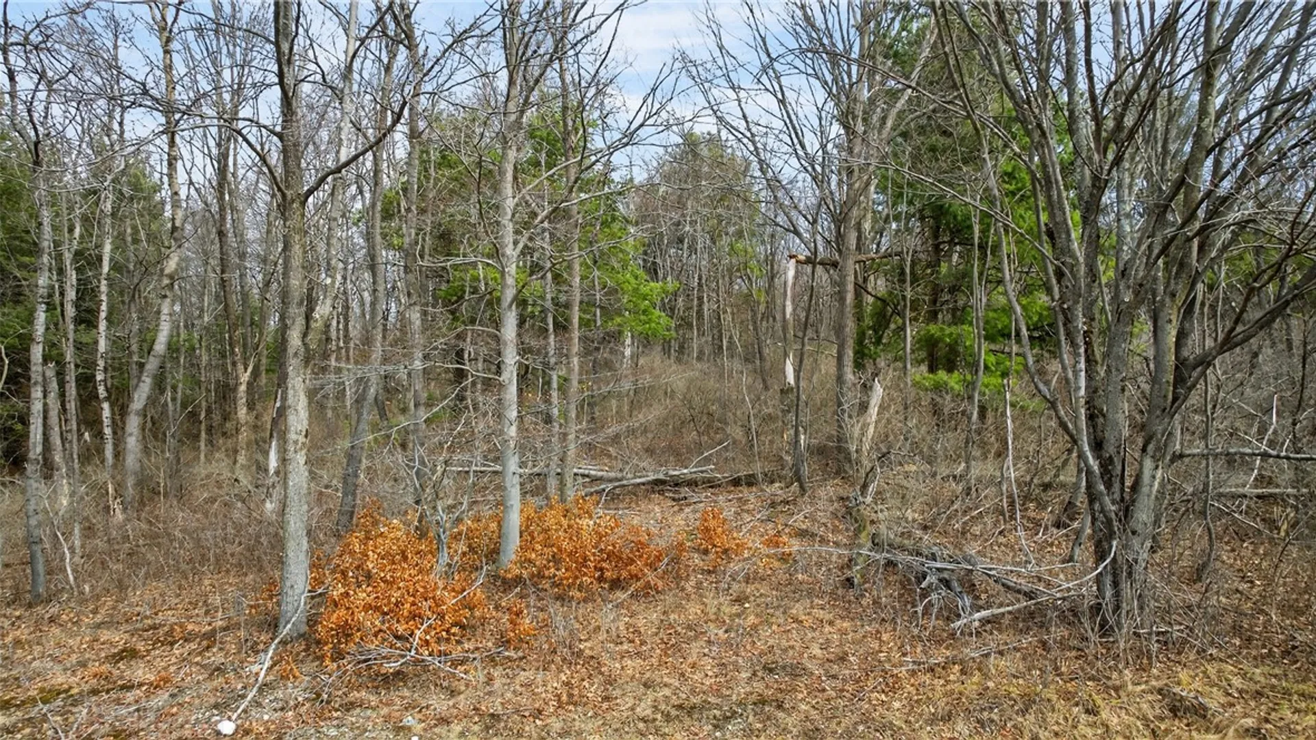 Property at 1351 Wollock Road, Tyrone, NY 14891 2